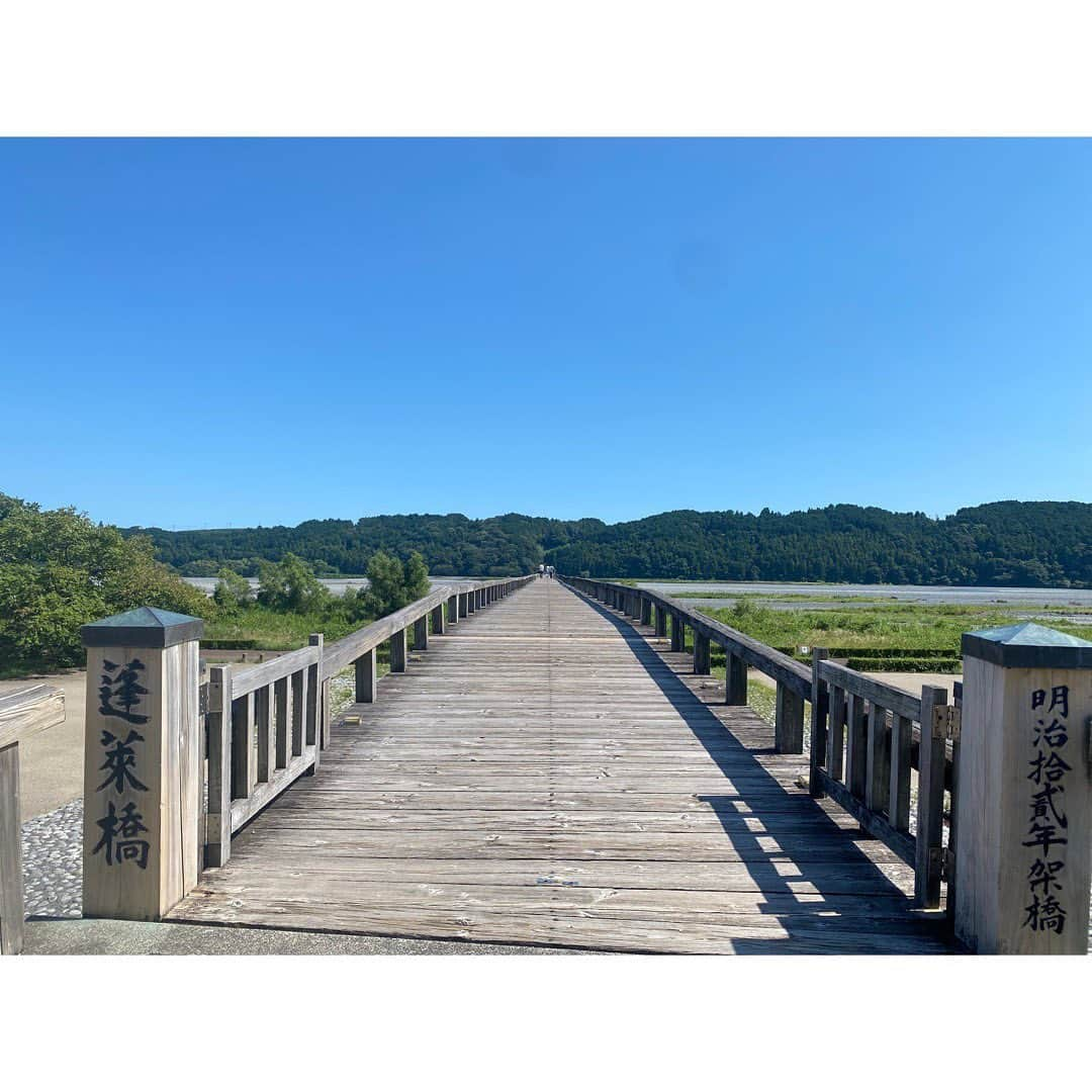 吉野史桜さんのインスタグラム写真 - (吉野史桜Instagram)「友に会いにいく静岡旅〜❸  電車でたどり着いた先で 友と合流〜🎵  いっきに賑やかに😂  たまに言ってると思いますが、 私はまっすぐ長い橋が好きなので、 (まっすぐ長い道も好きだ！) 島田の蓬莱橋に連れて行ってもらいました✨✨  世界一長い木造歩道橋として、 ギネスにも登録されています📕  長い木＝長生きの橋、 全長897.4m（やくなし＝厄無し」）の語呂合わせで縁起のいい橋✌️  また寿命延びたな🌱🌱  ホント長かったけど、綺麗な川で風が気持ち良かったな〜☺️✨  サギや亀も発見出来たよ🐢  橋の先には 『愛和の鐘』・『長寿の鐘』 があって、みんなでカランカラン鳴らして来ました🔔🎵 (寿命めっちゃ延びる場所多い)  茶屋で煎茶ソフトクリームをいただき🤤🍦  ちなみに橋見て『東海道五拾三次』っぽい〜って話してて、 実際に島田が出てくるみたいでグッズも売ってましたが、 絵に描かれてるのは橋がかかる前の景色みたいです🌈  あと、詳しく調べてないけど 勝海舟さんもいた😳笑  #蓬莱橋 #島田 #静岡 #ギネス #世界一長い木造歩道橋 #煎茶ソフトクリーム #勝海舟 #東海道五拾三次」8月15日 9時34分 - shionyoshino