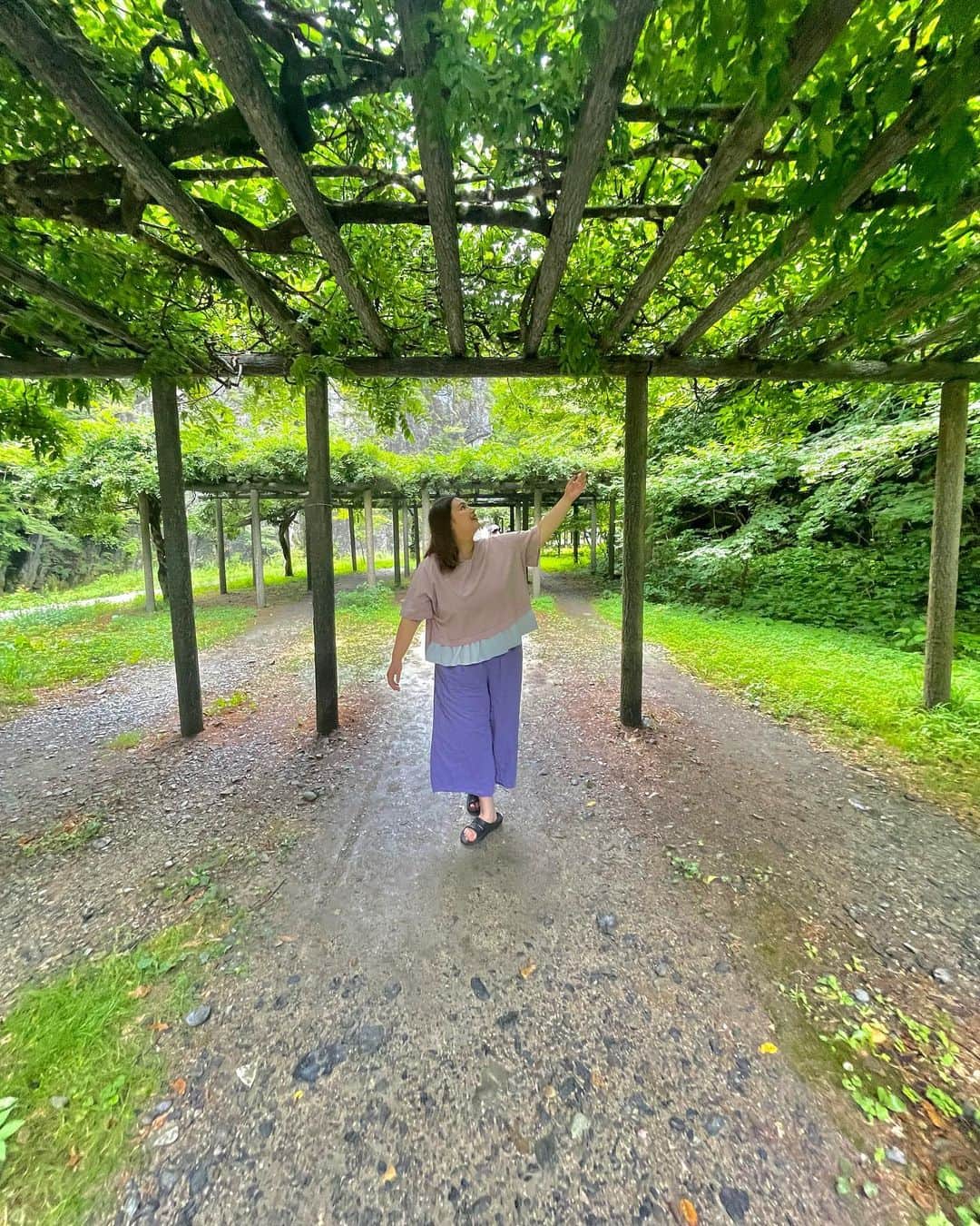 大橋ミチ子のインスタグラム：「おはよう🌞✨  🎖️夢の砂グランプリ🎖️ 応援してくださった方❣️ ありがとうございました😭🙏✨✨✨✨  まだ結果は、わかりませんが、 やれることは、びっくえんじぇるもヘルシーも 最大限にやっていたと思ってます✨  こういった戦いをするといつもいろんなことに気付かされます。 今回もみんなが毎日引用&リツイートしてくれたり、TikTokいいねしてくれたり、毎日投票してくれたり、中には沢山TikTokや Twitterのアカウント作ってくれた人もいたり、投票も何個もアドレス作って、有料会員で作ってくださった方もいたみたいで、本当に沢山の方に応援していただいて、とっても幸せです。  本当に誇りです。  昨日寝る時に、Twitterでも呟いたのですが、 私は、元々芸能界に憧れて東京に上京して、いろんなことを乗り越えて、びっくえんじぇるを立ち上げて今いるわけなのですが、 もし、びっくえんじぇるじゃなかったら、 多分、私は今、芸能界にいなかったと思います。  びっくえんじぇるだから、私は今こうやって活動していて、私の人生の全てなんです。  今も私は芸能界にいるだなんて思っていなくて まあ、結果的にはいるんだけど 本当に芸能界がどうこうとかではなくて びっくえんじぇるでいること これが私にとって１番で、 びっくえんじぇるだからこそ 居続けたいんだよね。  うまく言えないんだけど🤣笑  伝わってるのかな？？🥲 本当に感謝の気持ちでいっぱいです✨ 沢山の応援をありがとうございました😭✨🙏  そして、これからも宜しくお願い致します🥰  あなたがいるから今日もミチ子は幸せです🥲🙏  今日も1日頑張ろ✨✨✨💪✨✨✨  #びっくえんじぇる　#びくえん　#おデブアイドル」
