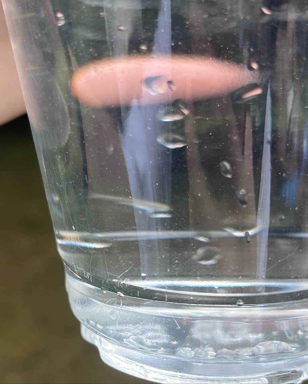 金野美穂さんのインスタグラム写真 - (金野美穂Instagram)「🧒🐟🧒🐟🧒  川でメダカらしき 魚追いかけてたらあっという間に時間過ぎる､､､､  次は泳ぎたい､､､  #金髪  #川」8月15日 9時33分 - kaneno_miho