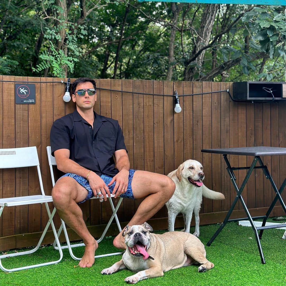 のインスタグラム：「Chilling with the dogs 😎 🐶」