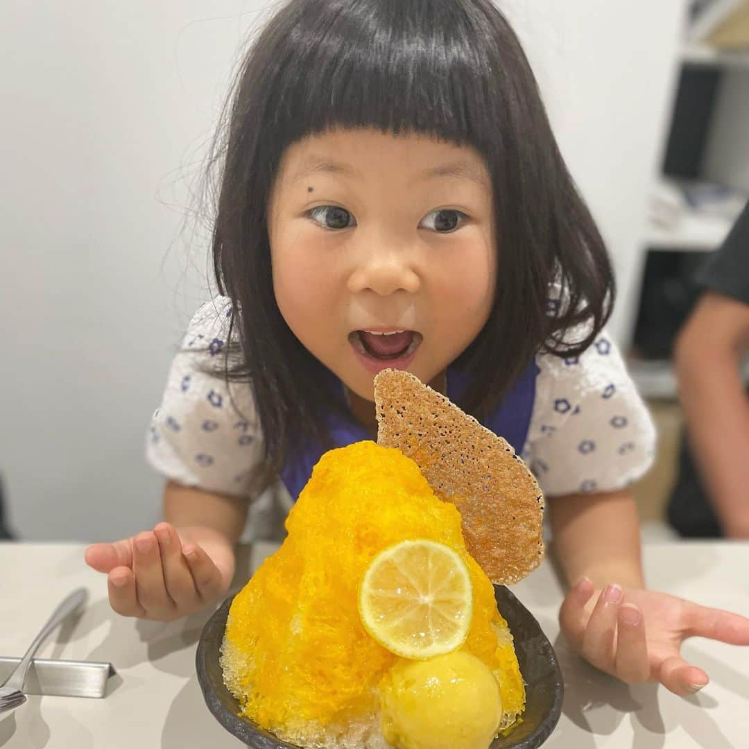 ぽるぽるちゃんさんのインスタグラム写真 - (ぽるぽるちゃんInstagram)「帰国したら絶対に行きたかったフォルテシモアッシュさん🥹  石本さん @ishimoto_yasunori にもお会い出来たし、ケーキもかき氷もたくさん食べられて次回帰国までの充電完了です🍧🍰✨  みゆふわの一推しは桃のケーキでした🍑 また次回帰国でも来れますように🥺  #みゆとふわが #石本さんに懐きすぎている #羨ましい #ぽる」8月15日 11時09分 - poruporuchan