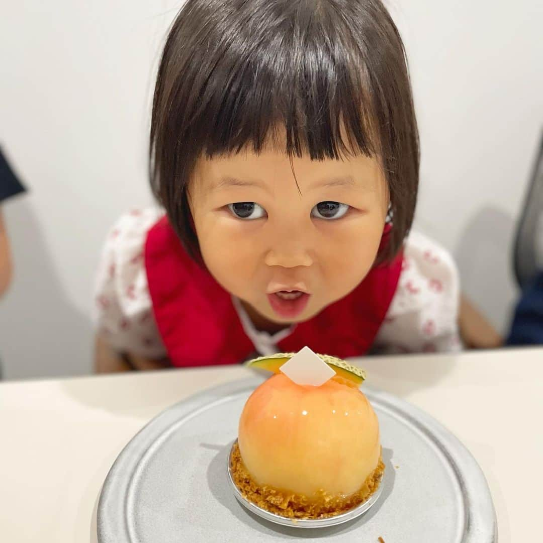 ぽるぽるちゃんさんのインスタグラム写真 - (ぽるぽるちゃんInstagram)「帰国したら絶対に行きたかったフォルテシモアッシュさん🥹  石本さん @ishimoto_yasunori にもお会い出来たし、ケーキもかき氷もたくさん食べられて次回帰国までの充電完了です🍧🍰✨  みゆふわの一推しは桃のケーキでした🍑 また次回帰国でも来れますように🥺  #みゆとふわが #石本さんに懐きすぎている #羨ましい #ぽる」8月15日 11時09分 - poruporuchan