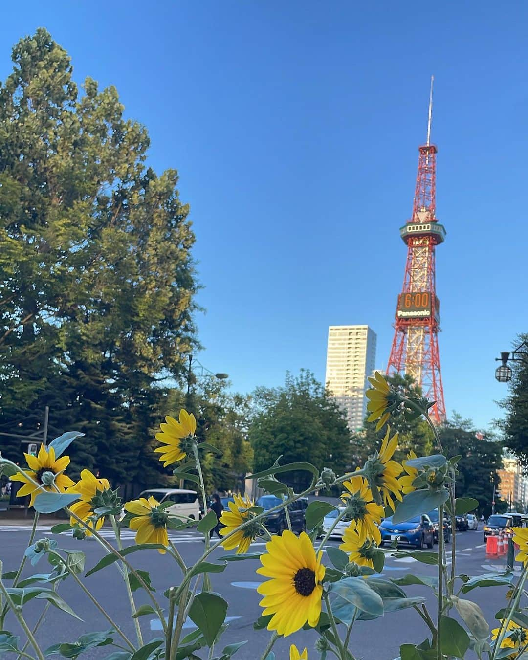 HARUKAさんのインスタグラム写真 - (HARUKAInstagram)「北海道🐮🍦🍜💚 （ ※時差投稿）  らしい写真は一切ない🙅‍♀️❤️笑  北海道の思い出は 『ひとりごはん』デビュー🤣笑 観光地のご飯屋さんで 1人で並んで、1人で食べた🥹🫰 モグモグしてる間の 目線のやり場に困った🫣笑 でもスープカレー美味しかったです🍛❤️ 渾身のひとりごはんデビューだったから 記念に動画撮ったよ🥸笑笑 ひとりごはんなんて、 一皮剥けた気がする😎✨笑  大通りの雰囲気好きだったなぁ☺️ 時計台は歩いててたまたま見つけて 小さくてびっくりしたけど😳🕰️  北海道、冬に行きたいな🥰 海のほうで海鮮食べまくりたい😋 ホタテめっちゃ好きなんだよなぁー🥲❤️‍🔥  #北海道 #札幌 #札幌グルメ #ひとりごはん #お盆 #夏休み #夏休みの過ごし方 #北海道グルメ #スープカレー #大通り #時計台」8月15日 11時36分 - haruka_o8o4