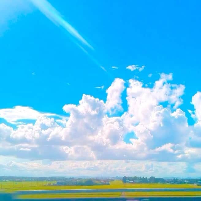 金城成美のインスタグラム：「なつのいばらき☁️ イベントでお世話になった水戸とひたちなか、とても良いところでした☀️」