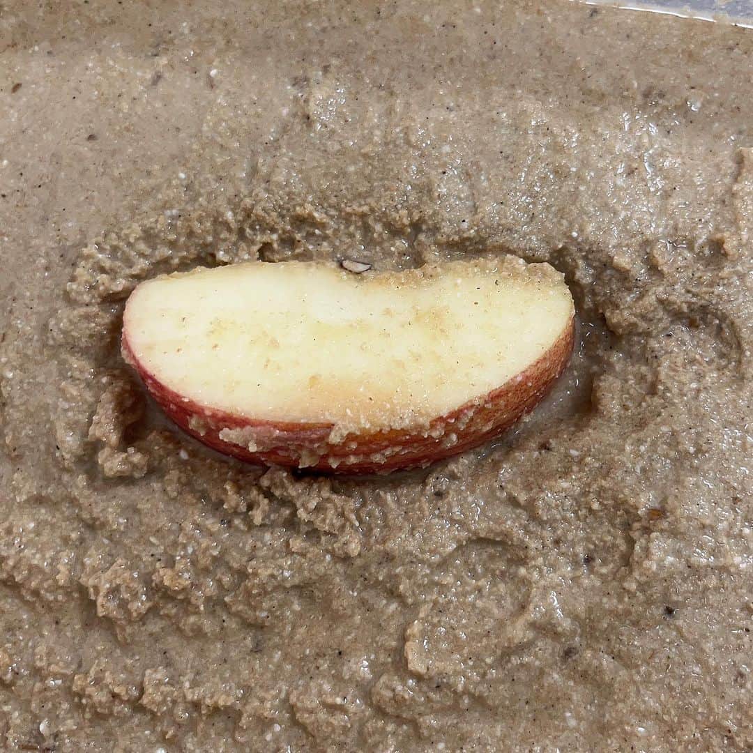 大湯みほさんのインスタグラム写真 - (大湯みほInstagram)「……… ✨りんごぬか漬け✨  りんご🍎は、皮ごとの場合、塩水で優しくそっと洗って、汚れなどを落としてから漬けて下さい。（皮ごとが気になる方は、皮は剥いて下さいね。）  りんごを1/4にカットし、しっかりと塩もみをした後、余分な水分と塩をキッチンペーパーでしっかりと拭き取ってから、ぬか床に漬けてください🙏  1日で浅漬け、３日〜４日漬けると、少しトロッとしたジャムのような味わいが楽しめますよ✨」8月15日 12時15分 - nukazukemiho0320