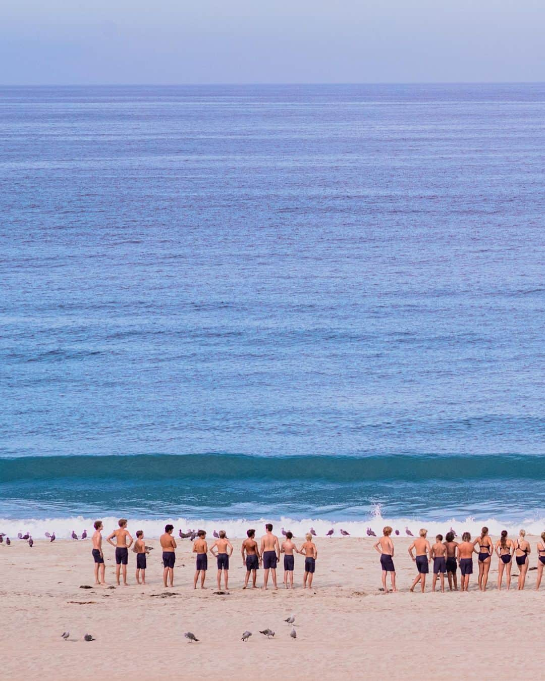 Pete Halvorsenさんのインスタグラム写真 - (Pete HalvorsenInstagram)「a few images around the beach this week…」8月15日 12時26分 - petehalvorsen