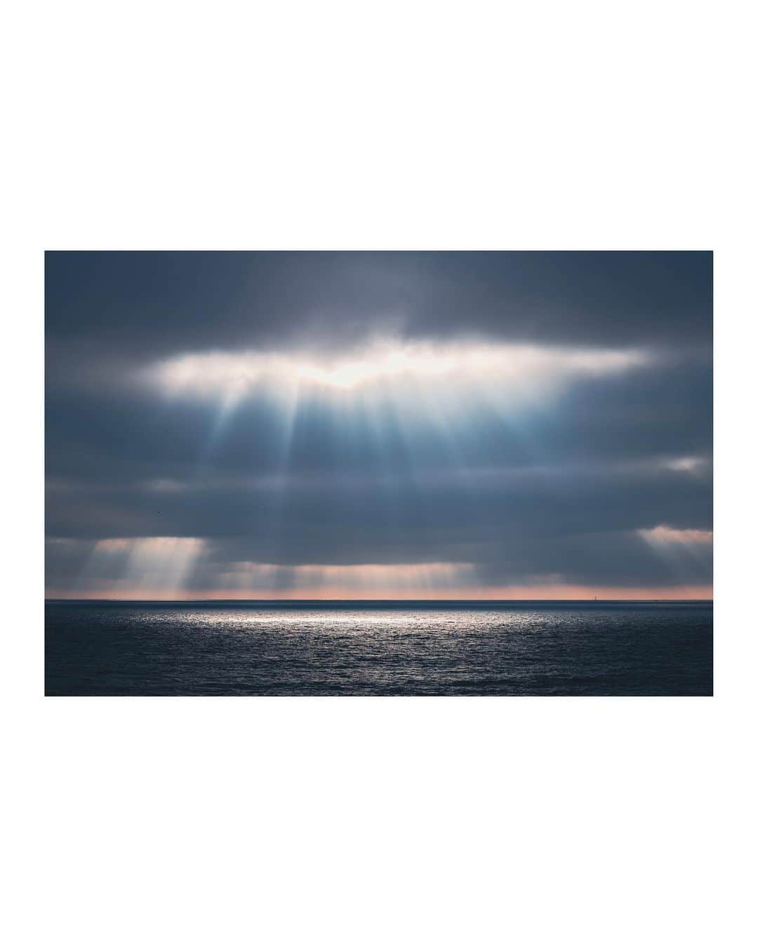 Pete Halvorsenのインスタグラム：「a few images around the beach this week…」