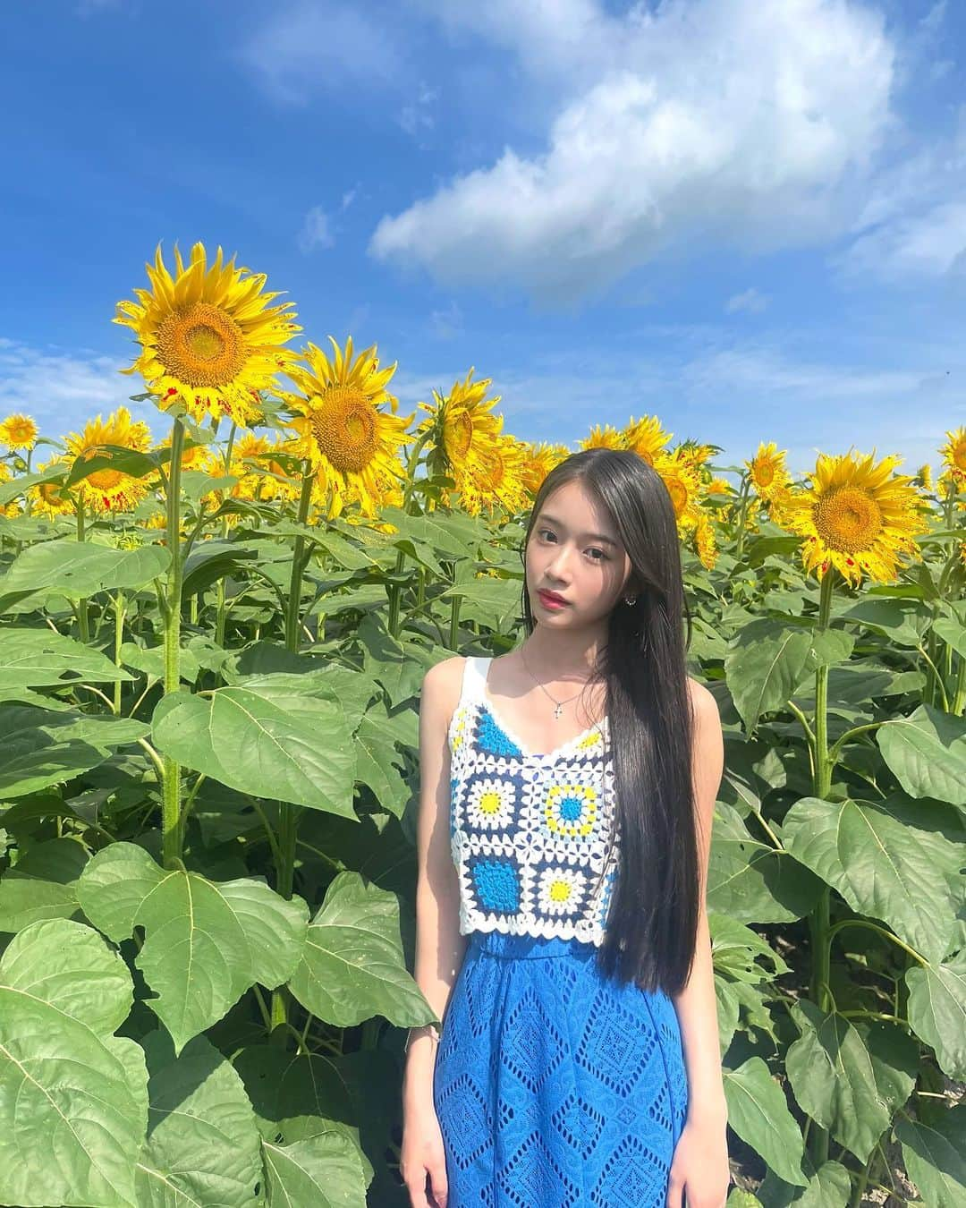 天翔天音のインスタグラム：「先日✨  朝の番組☀️ #サタデープラス　生中継をする為に、 北海道のひまわり畑へ行って来ました🌻  太陽に向かって笑顔で咲いている向日葵に 元気を貰えました♥  #向日葵 #お花 #夏 #サタデープラス  #北海道 #天翔天音 #05」