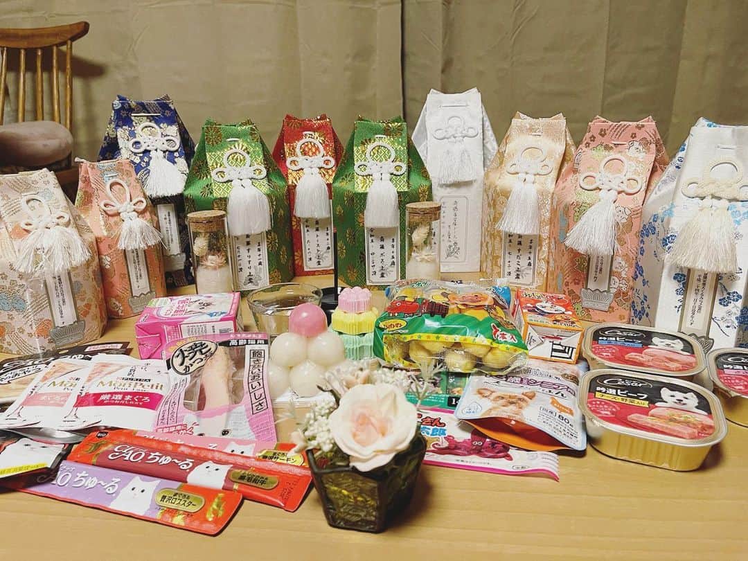 のインスタグラム：「初盆のドーナッツ、ボス、トーストちゃん。 お盆は亡くなった子たちが帰ってきてくれるとのことで、楽しみにしていました💐」