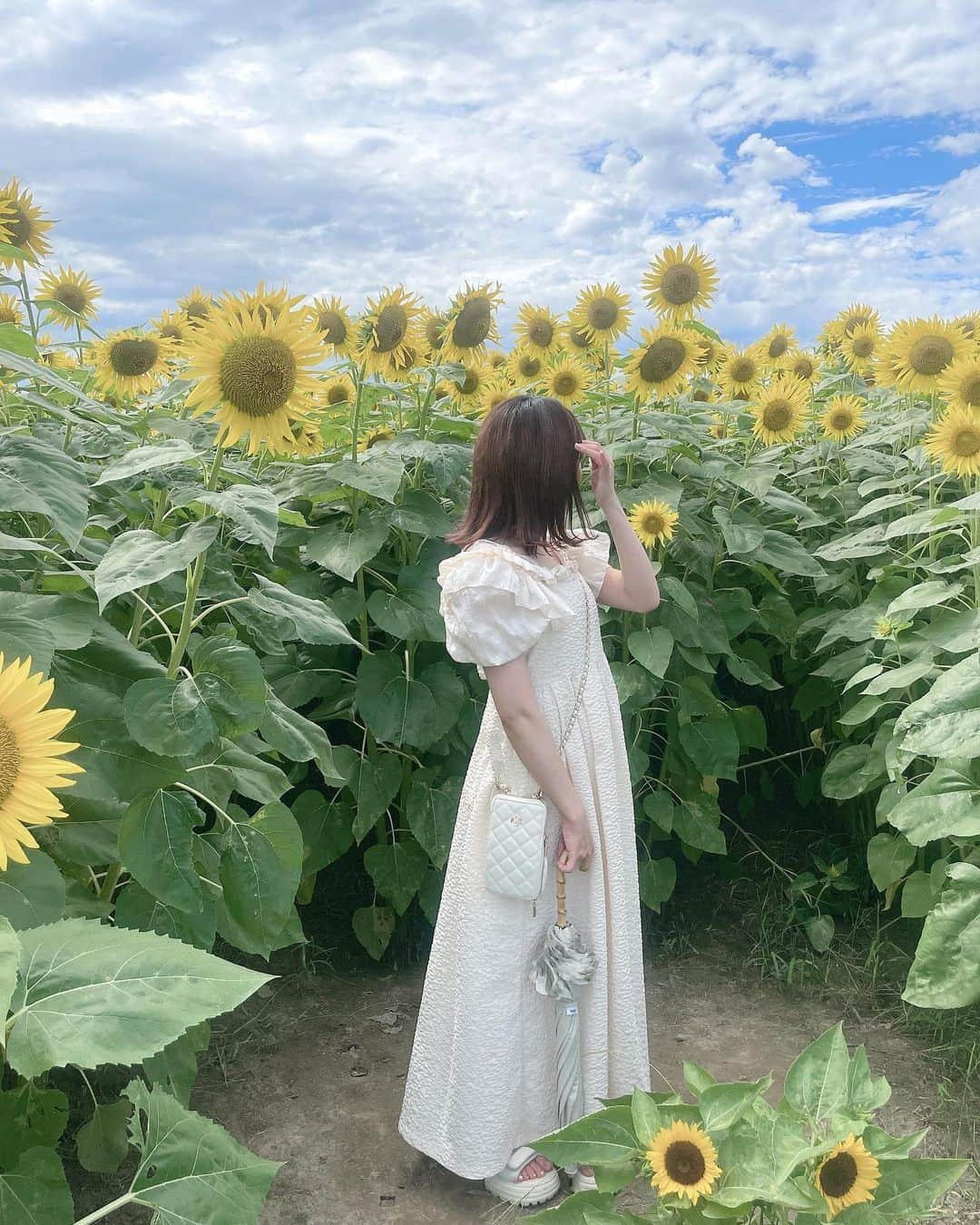 夏川愛実のインスタグラム：「⁡ ⁡ ひまわり畑🌻💗 いつまで経っても何歳になってもひまわり好きだなあ💗 ⁡ ⁡ #ひまわり#ひまわり畑#ひまわり畑2023 #ダークブラウン#暗髪ヘア #ロングヘア#エクステ#ヘアカラー#暗髪カラー #ヘアアレンジ#夏コーデ#淡色女子#淡色コーデ #148cm#f4f#いいね返し#l4l#フォロバ ⁡ ⁡ ⁡ ⁡」