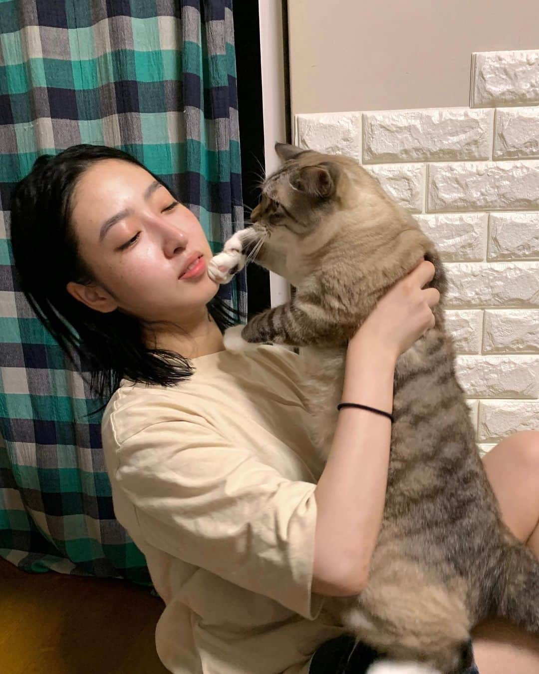 AO さんのインスタグラム写真 - (AO Instagram)「🐈 おデブ稲葉 おもたいね〜 猫パンチすな〜 #猫#猫パンチ#猫のいる暮らし#実家猫#稲葉」8月15日 22時18分 - ao_sekiguchi