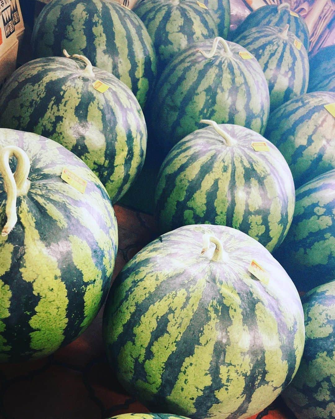 鳥越裕貴のインスタグラム：「🍉 #スイカ #夏 やねぇ #どでかスイカ達が破壊の値段やった」