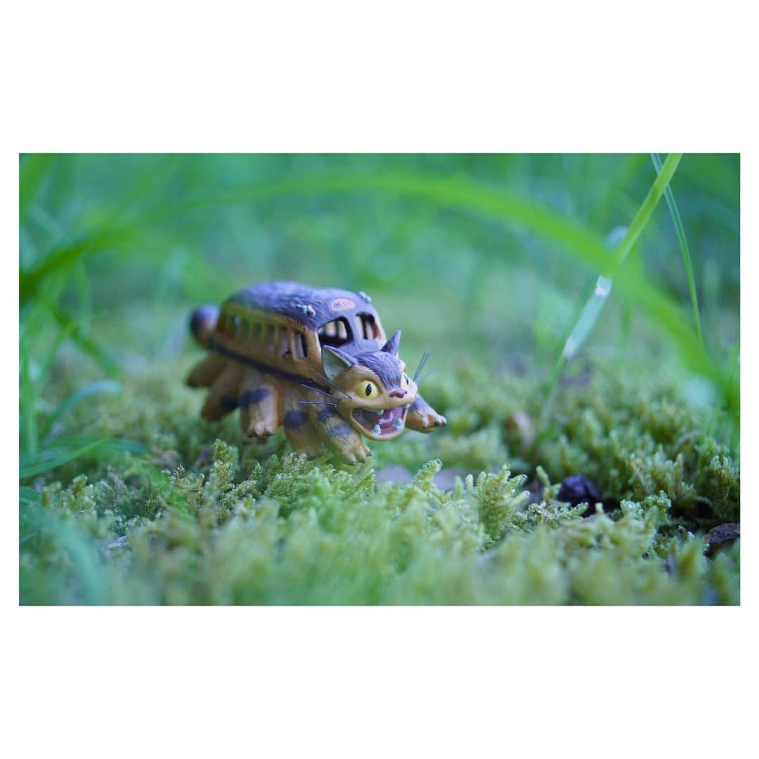 nqouさんのインスタグラム写真 - (nqouInstagram)「#となりのトトロ #トトロ #totoro #ジブリ #ghibli #ネコバス #nqouminiature」8月15日 14時26分 - nqou