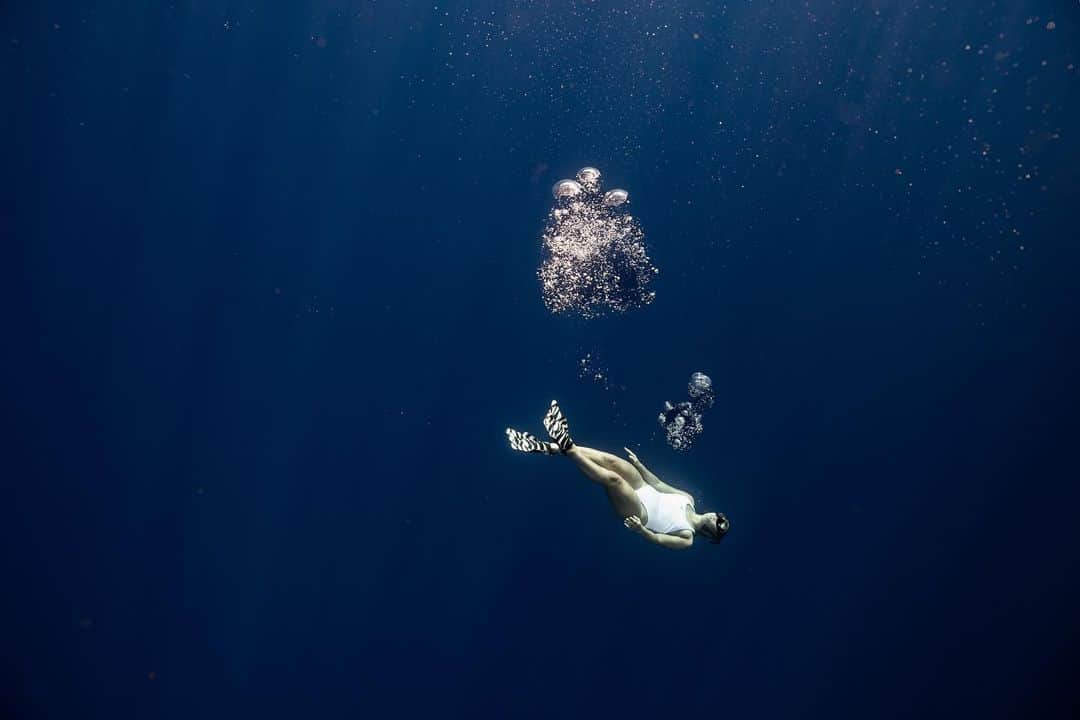 フェリシティー・パルマティアーさんのインスタグラム写真 - (フェリシティー・パルマティアーInstagram)「Humbling to share the ocean with these gentle giants 💙」8月15日 15時14分 - flickpalmateer
