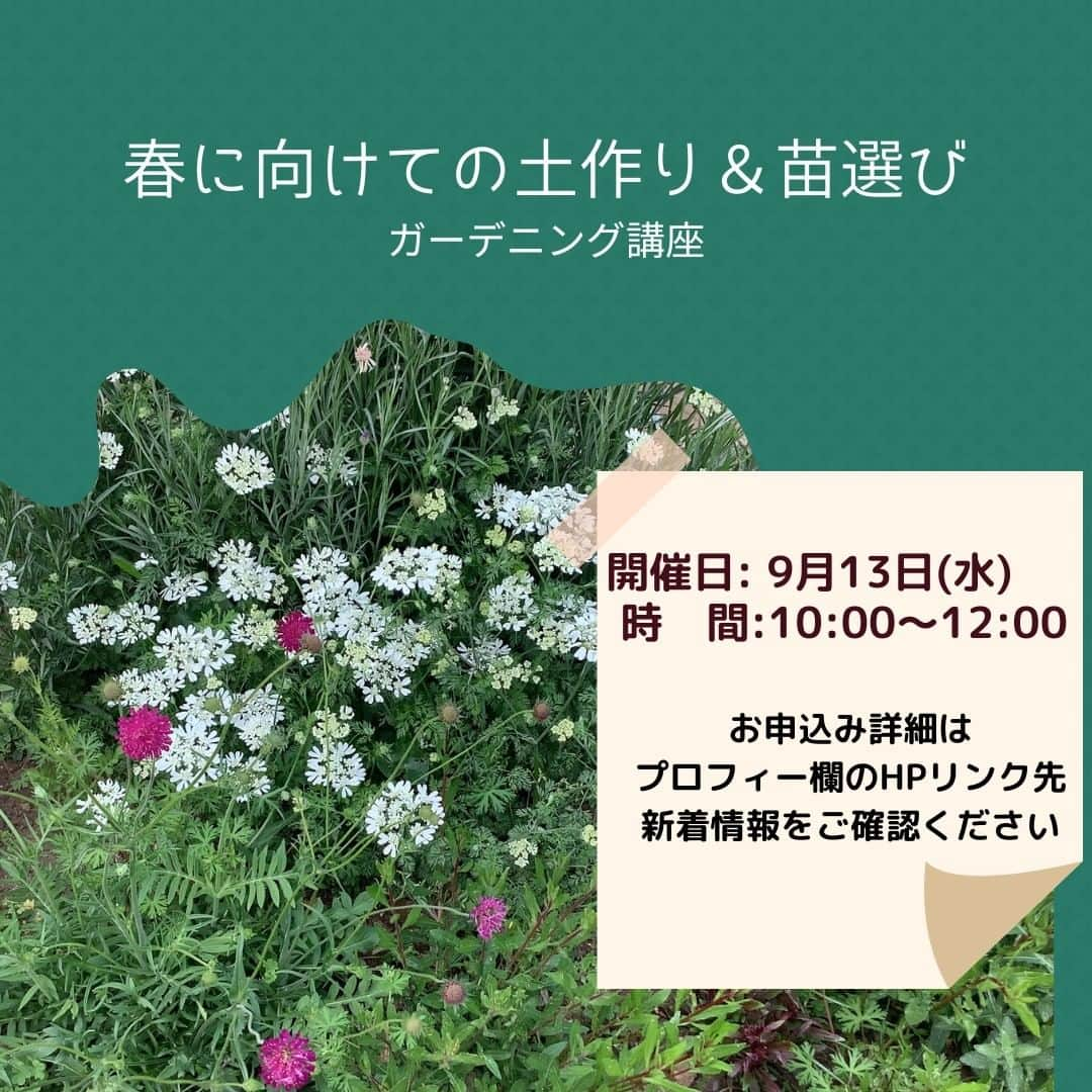 道の駅やちよさんのインスタグラム写真 - (道の駅やちよInstagram)「* \９月ガーデニング教室開催決定/  ９月１３日(水)10:00〜12:00 参加費　800円 春に向けての土作り＆苗選びを学びます。  ▶️８月１７日(木)９時からWEBにて申込開始です（先着順）詳しくは当センターHPにてご確認ください。  #道の駅やちよ　#農業交流センター　#ガーデニング教室　#千葉県八千代市　#お花好きな人と繋がりたい」8月15日 16時07分 - michinoeki_yachiyo090720