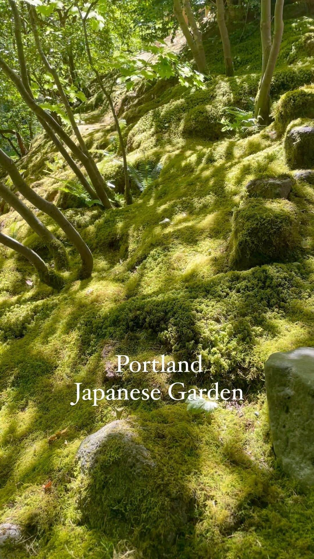 大橋菜央のインスタグラム：「Mia’s favorite♡  @portlandjapanesegarden . . . 日本国外にある日本庭園の中で 最も美しいと言われるポートランドジャパニーズガーデン🍃 . オレゴンの自然と調和した庭園はその緑のおかげでいつも涼しく、静かで心休まる場所☺️ . 隈研吾さん建築の建物もどれも凛と美しく Umami cafeでお抹茶を飲むとホッとする🍵 (お茶の入れ方が斬新だったり、味噌汁とご飯のセットを頼んだと思ったらねこまんまが出てきたり色々面白い😆) . 子どもたちのためのTreasure huntもあり Miaに「ポートランドのお出かけ先でどこが好き？」 と聞くとTop2にランクインするのが このジャパニーズガーデン🤍✨ (ちなみに1番は一つ前のDEFY💪🏾) . . . ribbon @la_mer.3  outfit @zarakids @bonpoint . . #naoliving_portland  #miababyliving #annbabyliving #japanesegarden #日本庭園 #portlandjapanesegarden」