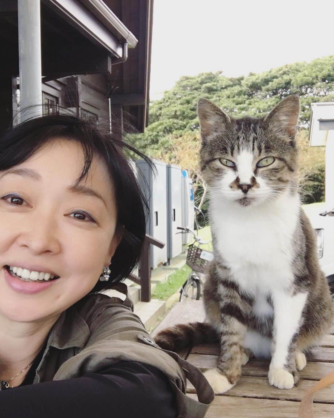 川上麻衣子さんのインスタグラム写真 - (川上麻衣子Instagram)「猫を愛する皆様へ。私川上麻衣子からのお願いです、拡散お願いします。いつも譲渡会の拡散などありがとうございます。おかげさまでまもなく1000件のご縁を繋ぐお手伝いが出来たこと、改めて感謝します。 2018年一般社団法人「ねこと今日」を立ち上げ、猫と人との共生の手助けができないかと模索してきました。その一つとして2022年に挑戦したクラウドファンディングから生まれたWEB上の街「NYANAKA TOWN」nyanakatown.com も無事にスタートしました。 この街は、猫を愛する皆様の力で大きく育てていきたいと願っています。そのために愛猫さんの情報を登録していただく住猫登録（じゅうにゃん登録）を現在無料で行なっています。この街の登録者が増えることで猫を取りまく環境が少しでも改善してくれること。また現在愛猫と暮らしている方の不安や悩みが解消されること。あるいは愛猫を亡くして、ロスの状態が癒えない方々が気持ちを共有できる場所となること。より深く猫の習性を知る場所になること。そんなことを目的に専門家の先生を交えて街を作りました。 街には虹の橋もあり、旅立った猫さんの登録も可能です。まずは１万匹の猫さんの登録を目指しています。 興味を少しでも持っていただけましたら、この街を覗いてみてください。私が宮城県 田代島で出会った一匹の猫がこの街のシンボル的キャラクターとなっています。 愛猫さんお写真入りマイニャンバーカードやオリジナルの商品も販売開始しています。それらの売り上げにより街を運営していきますのでこちらもぜひご覧いただけたら嬉しいです。 川上麻衣子はこの街のC.E.C(チーフ・エグゼクティブ・キャットラバー）として真剣に取り組んでいきますので何卒皆さんの力を貸してください。 よろしくお願いします。」8月15日 17時04分 - kawakami.maiko
