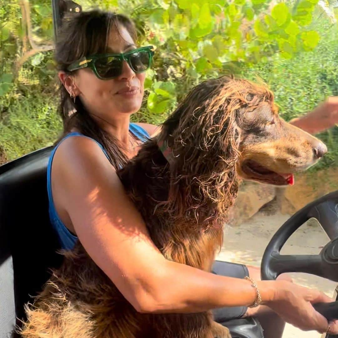ナタリー・インブルーリアのインスタグラム：「Riding with Tofu the island doggy! My happy Face in my happy place. Necker Island will always have a piece of my heart …but it’s the people that make it so special! So many dear friends in my life I met on this island! I always get teary when I leave.. but I always leave inspired.. sunburned… exhausted from all the fun..and with a little more sunshine in my heart! 💗☀️ Big thank you to @holly_branson @freddieandrewes @bransonsam @belliebranson @joanbranson and @richardbranson for bringing us all together! And to the INCREDIBLE Necker family.. you are the BEST!! I’m sending lots of love to old friends and new… thanks for a magical time making memories I’ll treasure forever!! Did I really sing with @teddysphotos ?! 👍🏼😆💗🦋🌈☀️ #neckerisalnd #barbienight #wavesrushin #leemar #kitesurfing #sushiboat #beacholympics #turtoise」