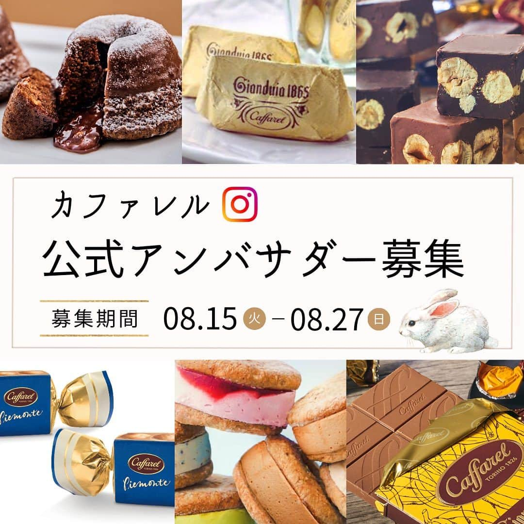 カファレルチョコレートさんのインスタグラム写真 - (カファレルチョコレートInstagram)「. 🍫カファレル アンバサダーキャンペーン開催🍀  いつもカファレルを応援頂きありがとうございます。  この度カファレルのチョコレートの魅力や楽しみ方をInstagramで発信して一緒に盛り上げてくださるアンバサダーを募集いたします✨  日々の暮らしの中でカファレルのジャンドゥーヤやピエモンテを楽しむ様子をInstagramでご紹介ください。 チョコレートが大好きな方、カファレルファンの方、カファレルのチョコレートを食べてみたいという方も是非この機会にご応募くださいませ❗️ 皆様の応募を心よりお待ちしております☺️  【活動内容】 ・アンバサダーに当選された方には月に1商品、合計4商品をお届け致します。 ・毎月1回以上お送りした商品を使用した写真や動画をInstagramに投稿して頂きます。 （積極的にPR頂けますと嬉しいです🥰） ・投稿はカファレル公式アカウントなどでもご紹介予定です。 ・投稿には2つのハッシュタグ（「#カファレルアンバサダー2023」、「#カファレル」）とカファレル公式アカウントのタグ付けをお願い致します。  【募集期間】 2023年8月15日～8月27日  【就任期間】 2023年 9月～12月(4か月間)  【募集人数】 10名～15名様を予定  【応募方法】 カファレルの公式Instagramアカウント(@caffarel_hy)をフォロー＆応募希望の旨コメントで応募完了です。 選考の結果、当選された方のみ締切後にInstagramのDMにて詳細をご連絡させて頂きます。  【応募条件】 □Instagramアカウントをお持ちの方 □非公開アカウントの方は対象外となります。 □InstagramのDMでご連絡のやり取りが可能な方 □商品の配送先をご提示いただける方  〈個人情報について〉 当選後にご連絡いただくお客様の個人情報は、プレゼントの発送のみに利用させて頂きます。 お客様の同意なしに業務委託先以外の第三者に開示・提供することは一切ございません。  ※なりすましアカウントにご注意ください。 当アカウントを名乗る偽アカウントが過去に確認されております。 類似アカウントから不審なフォローやDMをお受け取りになられました方は、速やかに削除し、被害防止のために類似アカウントのブロックをお願いいたします。  ------------------------------------- #カファレルアンバサダー2023 #カファレル #アンバサダー  #キャンペーン  #チョコレート #スイーツ #スイーツ好きな人と繋がりたい #ギフト #ジャンドゥーヤ #イタリア #トリノ #caffarel #italy #torino #gianduia #antique #art #ギフト #gift」8月15日 18時01分 - caffarel_hy