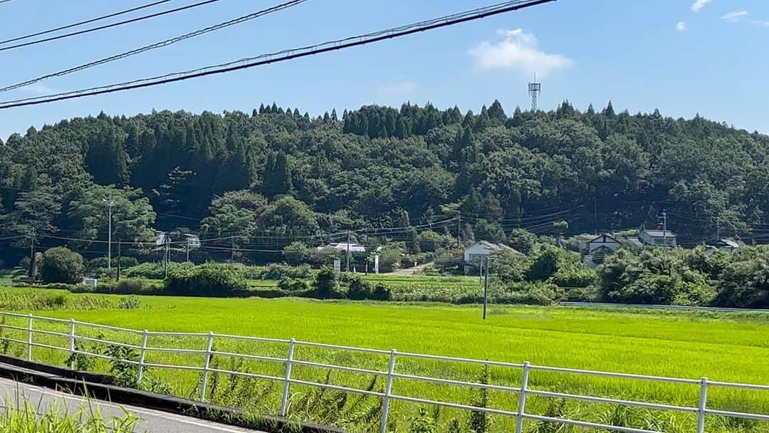 兼田恵のインスタグラム：「鮮やかな黄緑の景色に走る赤い電車が可愛くて可愛くて大好きなのですよ。  #大分 #大分豊後大野市 #赤い電車 #可愛すぎる」