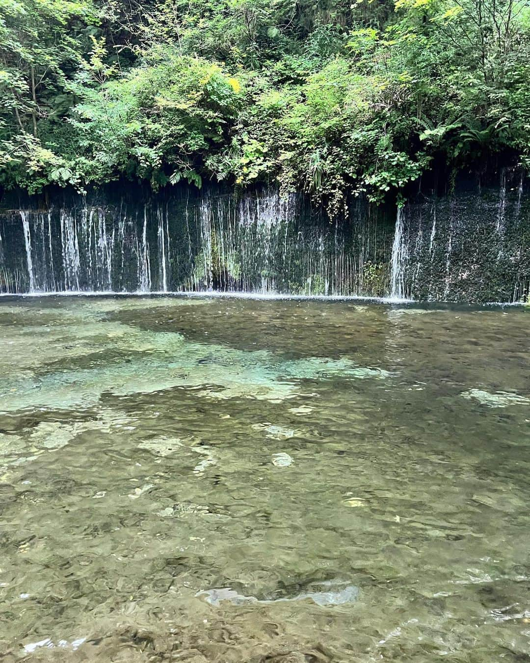 向翔一郎さんのインスタグラム写真 - (向翔一郎Instagram)「合宿のoffで自分を追い込むスタイルでやらせてもらいました⛳️  #うんもちろんしんどかったよ #off」8月15日 17時58分 - shoichiro_mukai