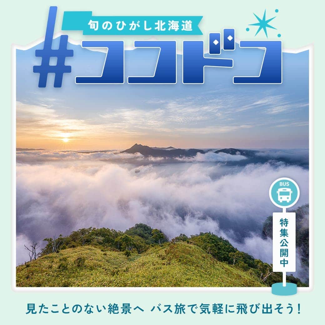 ピーチ・アビエーションのインスタグラム：「🦀 夏は釧路と女満別に行こう🦌 ココにしか無い最高の景色、とびきりの食、ひがし北海道が観光バスでぐるっと楽しめる！免許がなくても大丈夫です。交通機関を駆使して、行きたい場所へGO👉(次スライドを確認)  特集ページでは夏のおすすめスポットを紹介中です、 見たことのない絶景を求めて、釧路・女満別へ✈！ *本日投稿のInstagramストーリーからもページをチェックいただけます。  《フライトスケジュール》2023年7月1日〜10月28日  ・ 大阪(関西)→釧路　MM125、12:50発→14:55着 ・ 釧路→大阪(関西)　MM126、15:35発→18:05着 　*大阪(関西)ー釧路は火,木,金,日の曜日運航。8/11,13,15は45分遅発  ・ 大阪(関西)→女満別　MM121、12:50発→14:55着 ・ 女満別→大阪(関西)MM122、15:35発→18:10着 　*大阪(関西)ー女満別は月,水,土の曜日運航。」