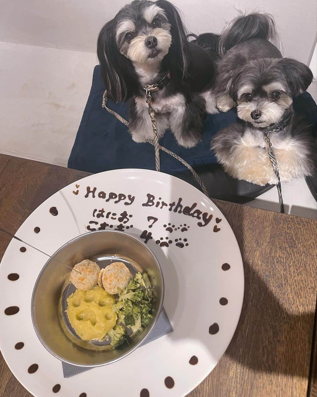 あみのインスタグラム：「はにこむちゃんのお誕生日🎂💖 はに７歳こむ４歳でした🐕💕 可愛い子供達のためにわたしは生きてます🥺 いつまでも元気でママのそばにいてね🩷だいすき>3< . #チワマル #はにこむ」