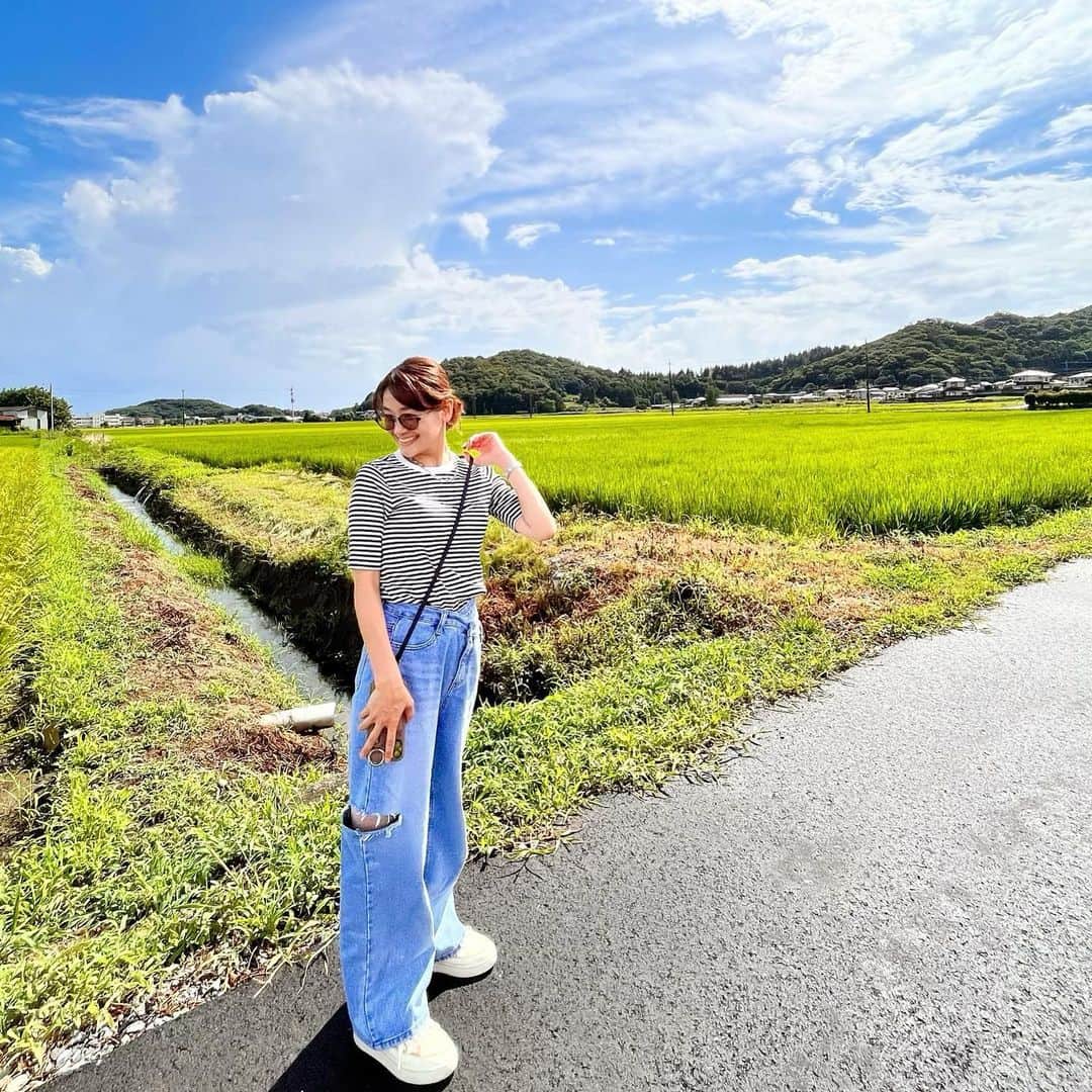のインスタグラム：「☀️ 雨上がり。  #夏 #雨上がり #田舎道 #畦道  #田んぼ道  #田んぼ #栃木」