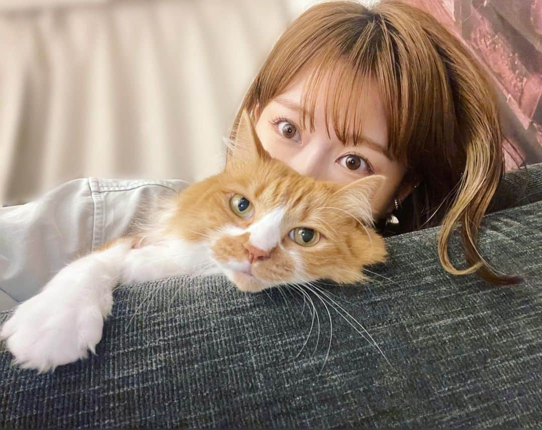 津田麻莉奈さんのインスタグラム写真 - (津田麻莉奈Instagram)「#うちの虎太郎くん」8月15日 19時10分 - tsudamarinal