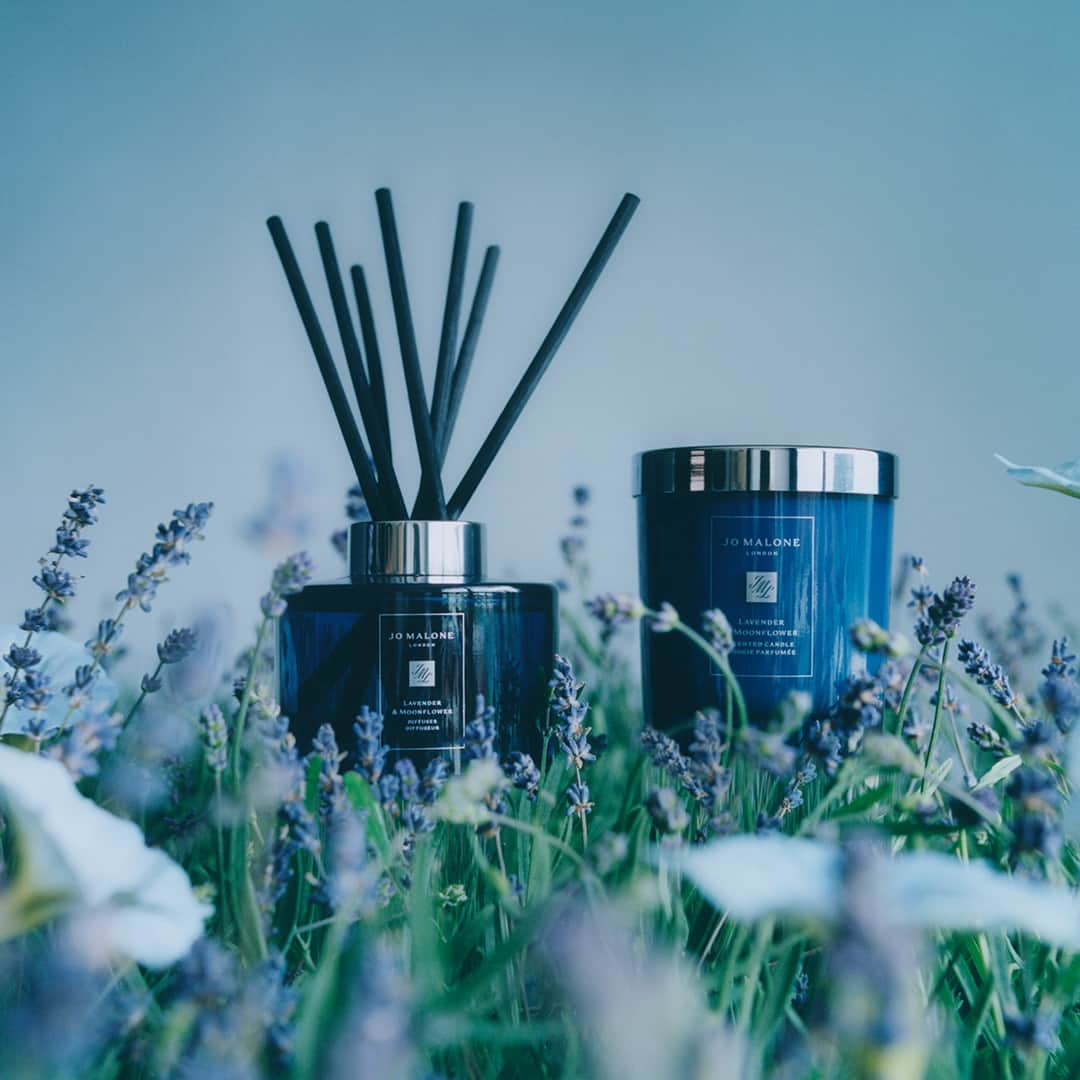 Jo Malone Londonさんのインスタグラム写真 - (Jo Malone LondonInstagram)「Embrace evening rituals with the soft, serene scent of Lavender & Moonflower from our Night Collection, available as a candle or diffuser. Tap to shop the Night Collection. #TheNightCollection」8月15日 19時25分 - jomalonelondon