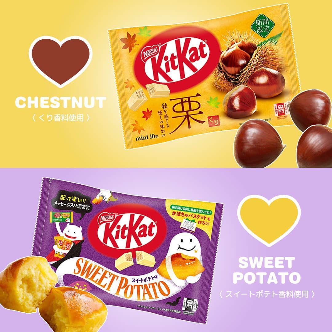 のインスタグラム：「コメントから教えて🤎💛  ＼ 新作が気になる人、集まれ〜💗 ／  気になるのはどっちのフレーバー🐻？  秋の味覚を先取り✨ 「栗」と「スイートポテト味」🌰🍠 気になるフレーバーの絵文字をコメントから送ってね🙌  —--  「栗」 →🤎 「スイートポテト味」 → 💛  ┈┈┈┈┈┈┈┈┈┈ #kitkat #キットカット #break #ブレイク #チョコレート #ウエハース #サクサク #ザクザク #チョコレート好き #チョコレート好きと繋がりたい #チョコレート好きな人と繋がりたい #チョコレート大好き #おやつじかん #スイートポテト #芋 #芋スイーツ #栗 #栗スイーツ」