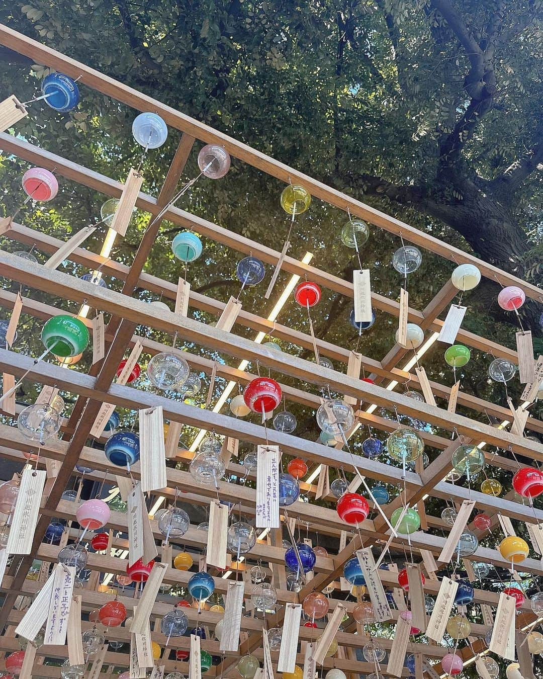 谷口彩菜さんのインスタグラム写真 - (谷口彩菜Instagram)「川越　氷川神社⛩️ . ずっとみたかった風鈴みれて嬉しい〜！ とってもよかった〜！！！ でも暑すぎだったよ😂 . 今回小江戸とか食べ歩きしてないから 川越食べ歩きもう少し涼しくなったら行きたい🤍 . .  #氷川神社 #あい鯛 #あい鯛みくじ #川越  #川越氷川神社 #浴衣　#浴衣レンタル　#川越浴衣」8月15日 19時56分 - taniguchi_ayana