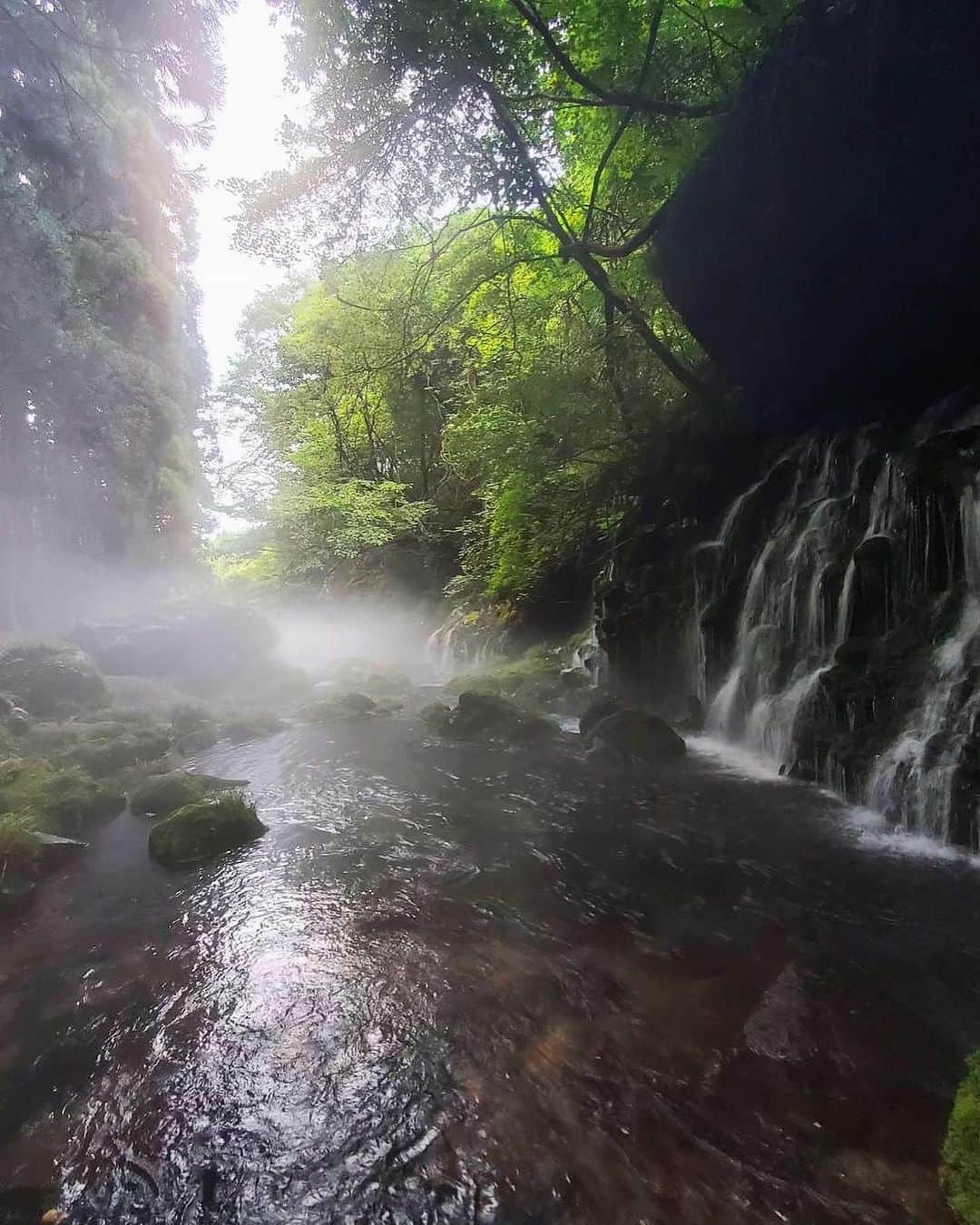 西原有紀さんのインスタグラム写真 - (西原有紀Instagram)「W̥ͦḀͦT̥ͦE̥ͦR̥ͦF̥ͦḀͦL̥ͦL̥ͦ  ✳︎ ✳︎ ✳︎  📍元滝伏流水  ✳︎ ✳︎ ✳︎  #waterfall #滝 #元滝伏流水 #癒し #パワースポット #自然 #natural #霧 #美しい景色」8月15日 20時05分 - u_ki0211