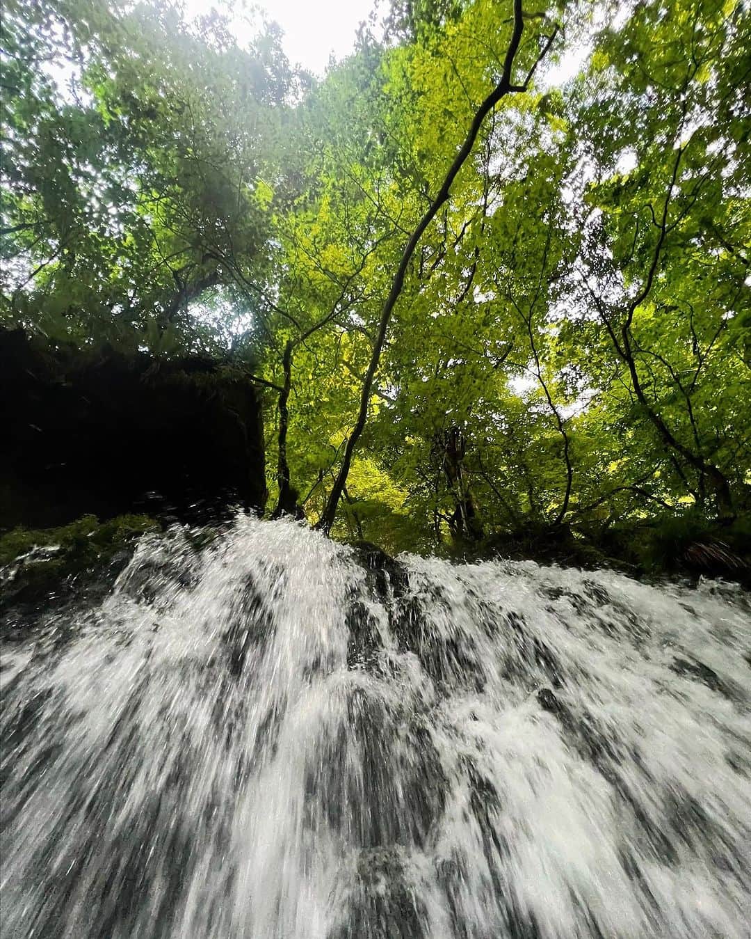 西原有紀さんのインスタグラム写真 - (西原有紀Instagram)「W̥ͦḀͦT̥ͦE̥ͦR̥ͦF̥ͦḀͦL̥ͦL̥ͦ  ✳︎ ✳︎ ✳︎  📍元滝伏流水  ✳︎ ✳︎ ✳︎  #waterfall #滝 #元滝伏流水 #癒し #パワースポット #自然 #natural #霧 #美しい景色」8月15日 20時05分 - u_ki0211