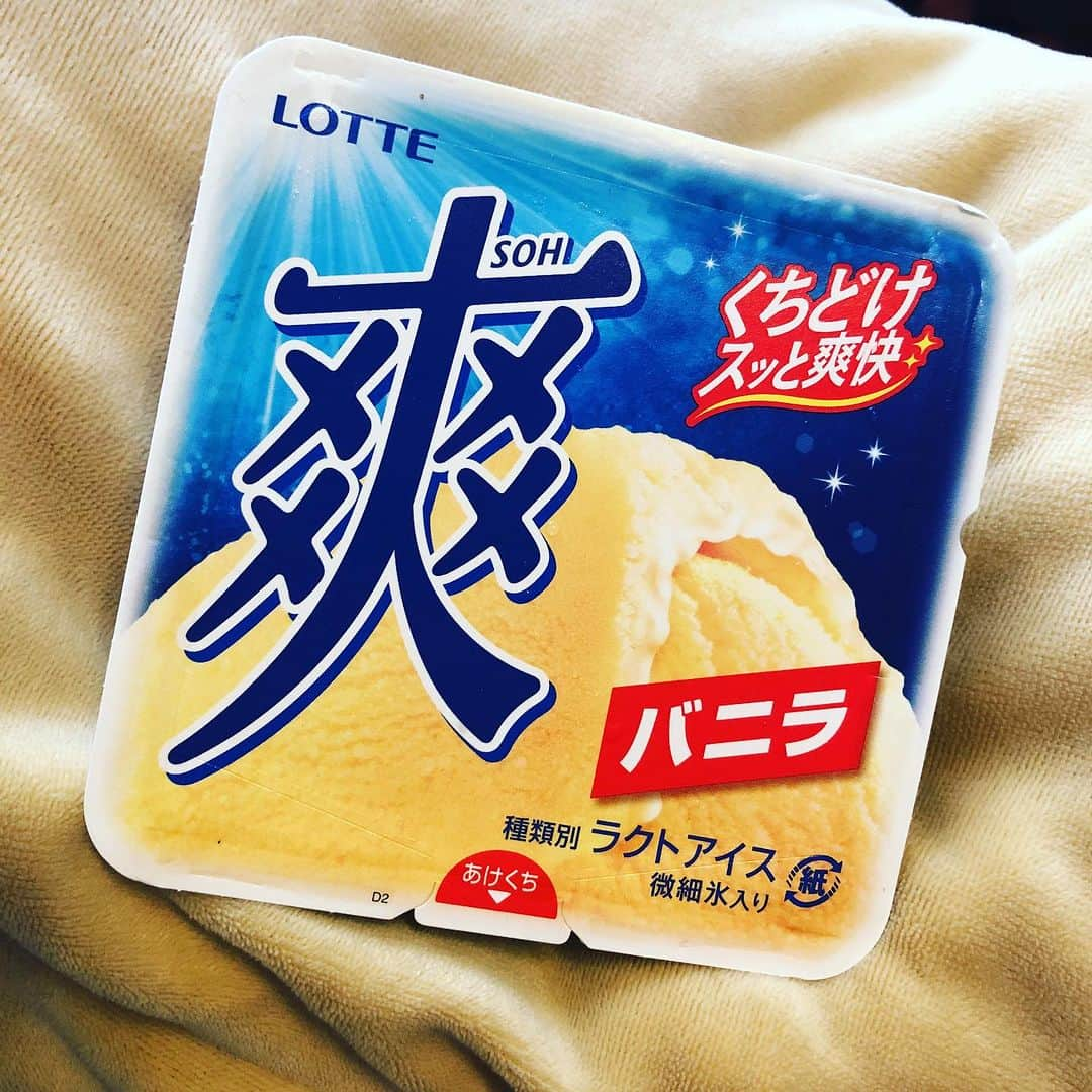 白川りささんのインスタグラム写真 - (白川りさInstagram)「事件。 爽って夏と冬で氷の配合が違うってテレビで見たから、食べてみた。 初めて食べた。  なにこれおいしすぎるんですけどwwwwww おいしすぎて笑った😂 今まで知らなかったのマジで人生損してたわくらいおいちぃ😋 爽作ったひとホントにありがとう😂 買い溜め…する… #爽 #おいしい #人生損してた #デブ活 #絶好調」8月15日 20時06分 - risarisausausa