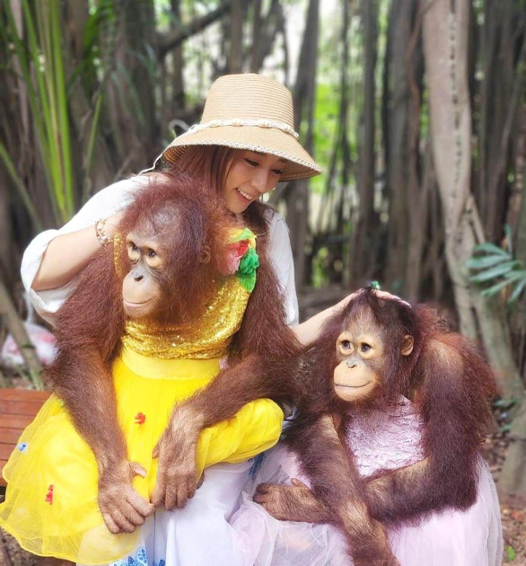 石田みかさんのインスタグラム写真 - (石田みかInstagram)「🐵🐵🐵 . . タイのサファリワールド 1番楽しみにしてたオラウータンと🫶 500バーツ（約2000円）で一番乗りで撮影してきたよ🌈 . . #タイ旅行 #バンコク旅行 #サファリワールド #オラウータン」8月15日 20時24分 - ishidamika.fit