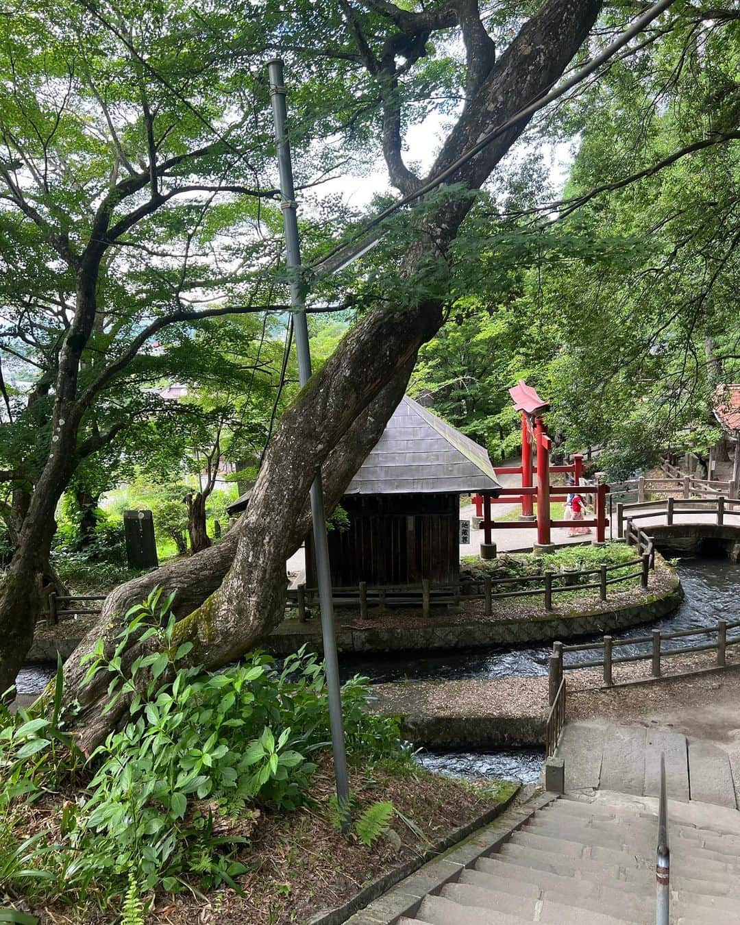 山口るあさんのインスタグラム写真 - (山口るあInstagram)「お盆に地元に帰って従姉妹みんなと旅行してきたら満喫してきた☺︎  台風も少し影響あったけど 幸せだった。  #低身長コーデ #低身長 #ootd #地元」8月15日 21時07分 - ru_chandabe