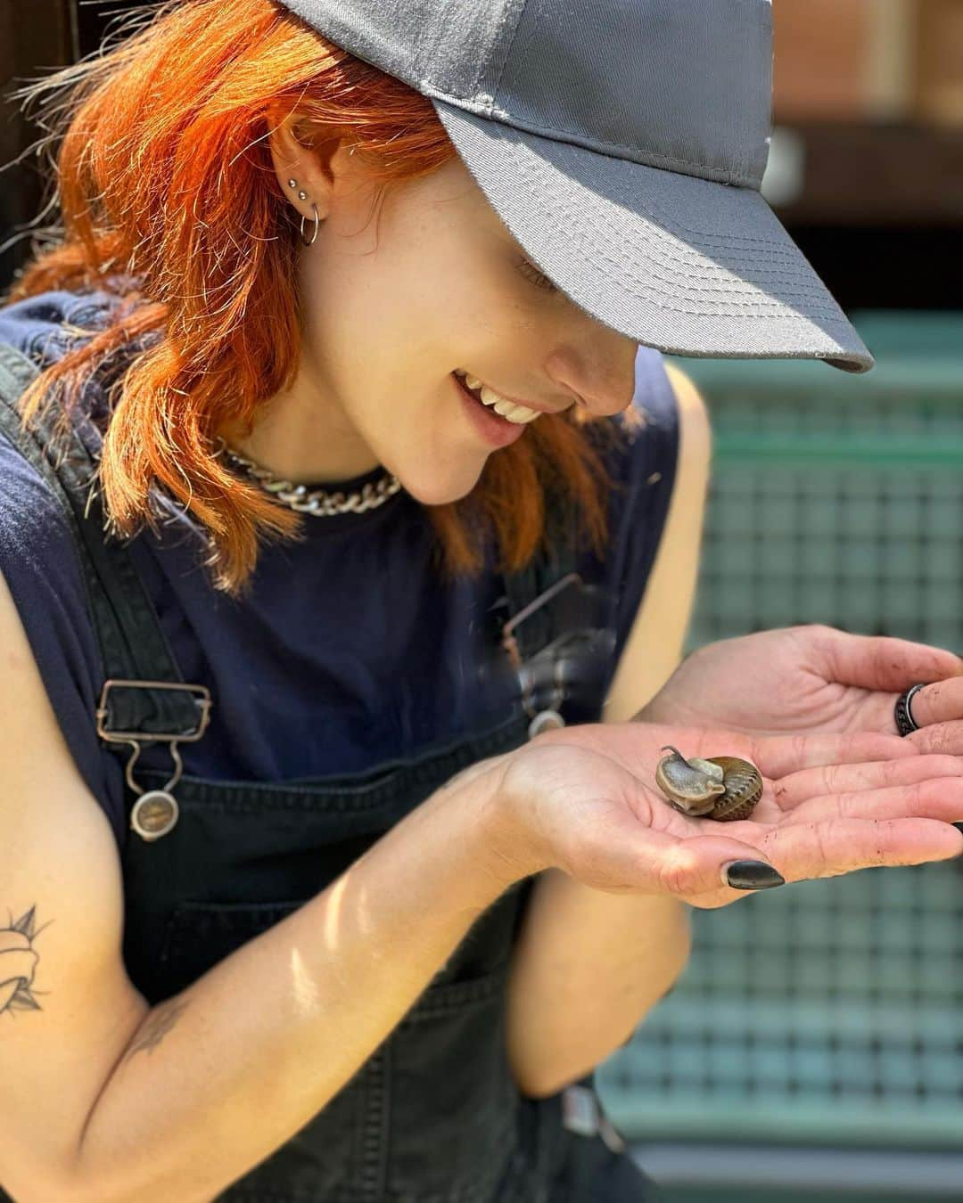 オーブリー・ピープルズのインスタグラム：「snails are monoecious and can express as male or female each time they mate with a new partner. they can also self reproduce solo. nature is not binary 🏳️‍⚧️」