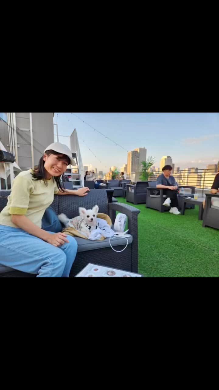 北口麻奈のインスタグラム：「涼しくなったからディナータイム🍽️ 南堀江のロープカフェさんへ😋 ワンコメニューがあって、店内もワンコOKなので助かります🐕 抹茶もミートボールを堪能したみたいです✨ #ポメチワ #ぽめちわ #ぽめちわぐらむ #元保護犬 #犬のいるくらし #犬とお出かけ関西 #ロープカフェ #堀江カフェ」