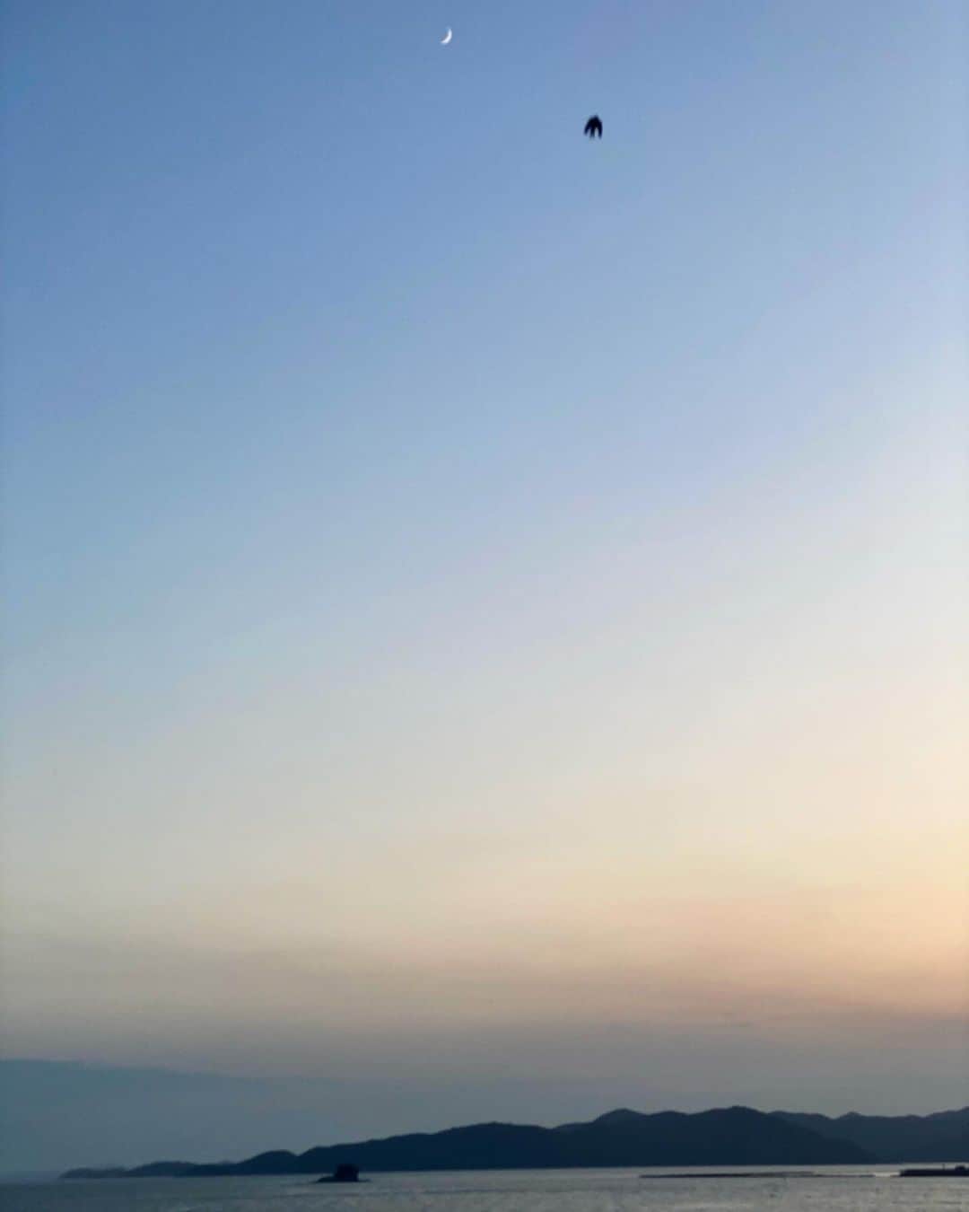 祥吉さんのインスタグラム写真 - (祥吉Instagram)「三日月とツバメ もっと上手に撮りたかったですが… 気持ちよさそうに飛びまわってた記念に  #三日月  #ツバメ #つばめ #燕 #瀬戸内海 #海 #空」7月22日 23時08分 - akoshokichi