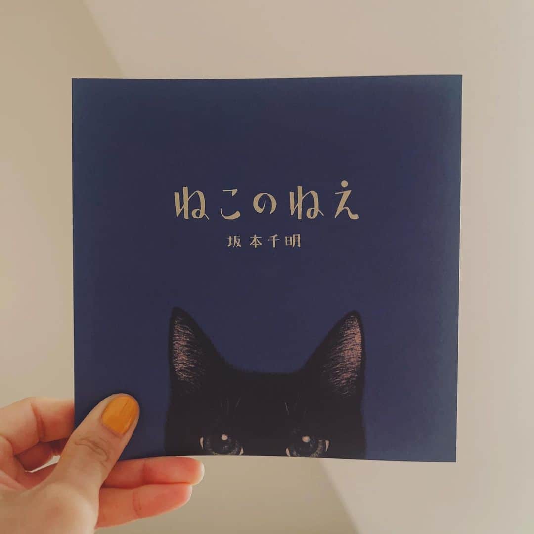 小原好美さんのインスタグラム写真 - (小原好美Instagram)「読み終えた時なんか胸が「きゅっ。」ってした  猫さんといる時間は大事にしようって思える 目の前にいる２匹をハグしました。  絵本っていいね。  #ねこのねえ #クゥ元気かなぁ」7月22日 23時19分 - konomi_kohara0628
