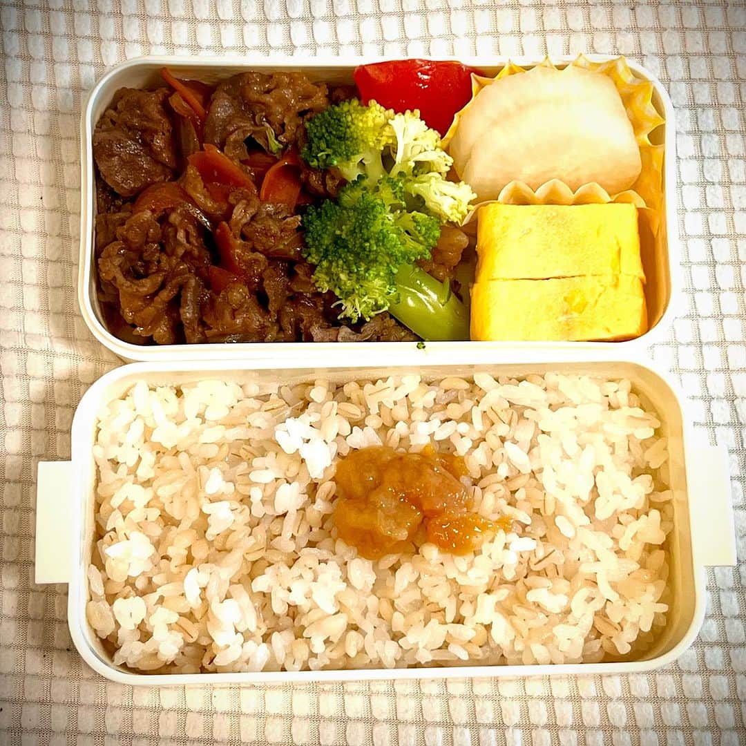 竹井亮介のインスタグラム：「2023年7月22日。 朝作った、夏期講習に行く長女用のお弁当。 牛肉の炒め煮、たまごやき、ブロッコリー、べったら漬け、梅干しペースト。 #とっつぁん料理」