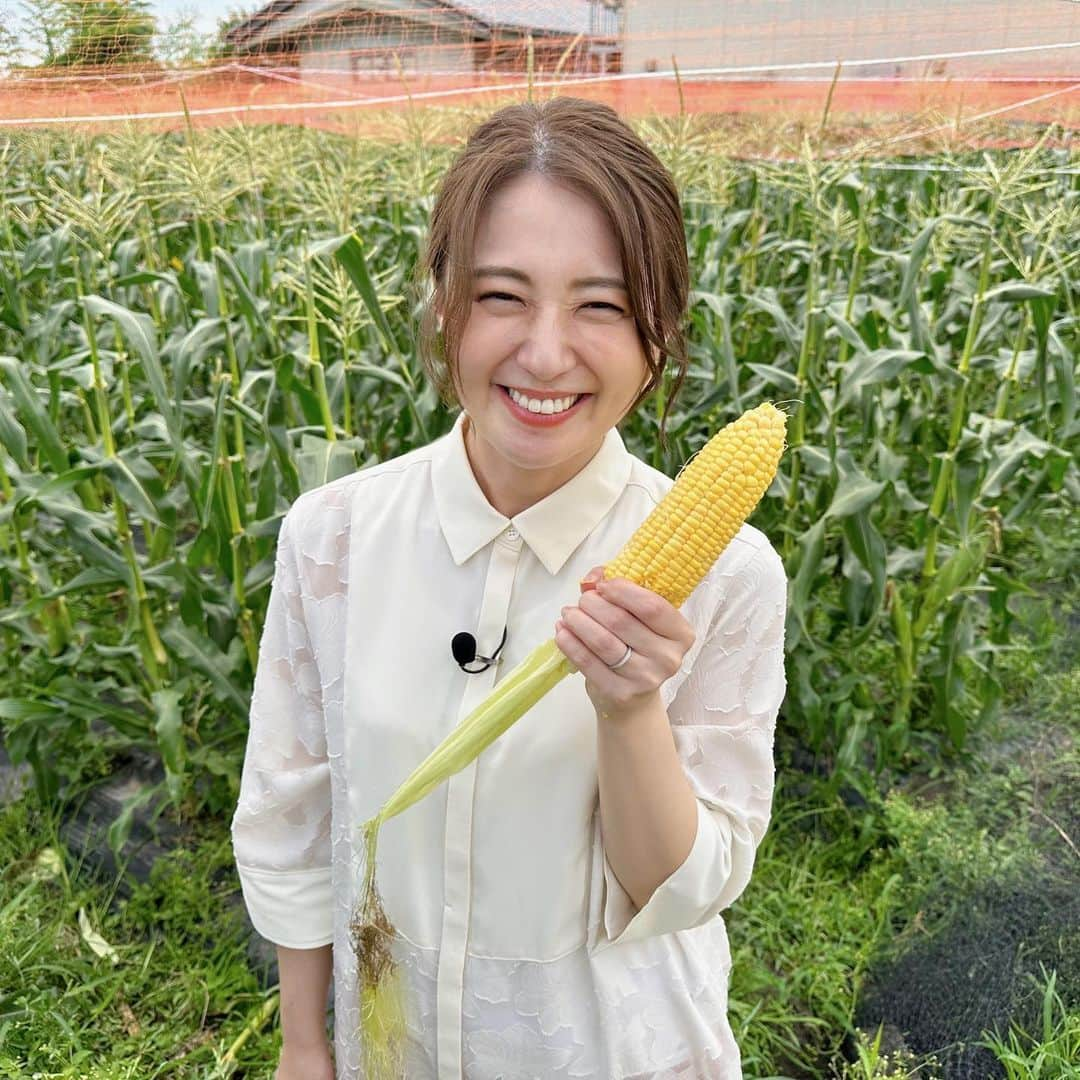 久野静香のインスタグラム：「＊ 7月23日(日)お昼12時29分から 「発見！！食遺産」に出演しています！！ ⁡ まるでフルーツ🌽 ⁡ #石田靖 さん  #テレビ大阪　 #発見食遺産」