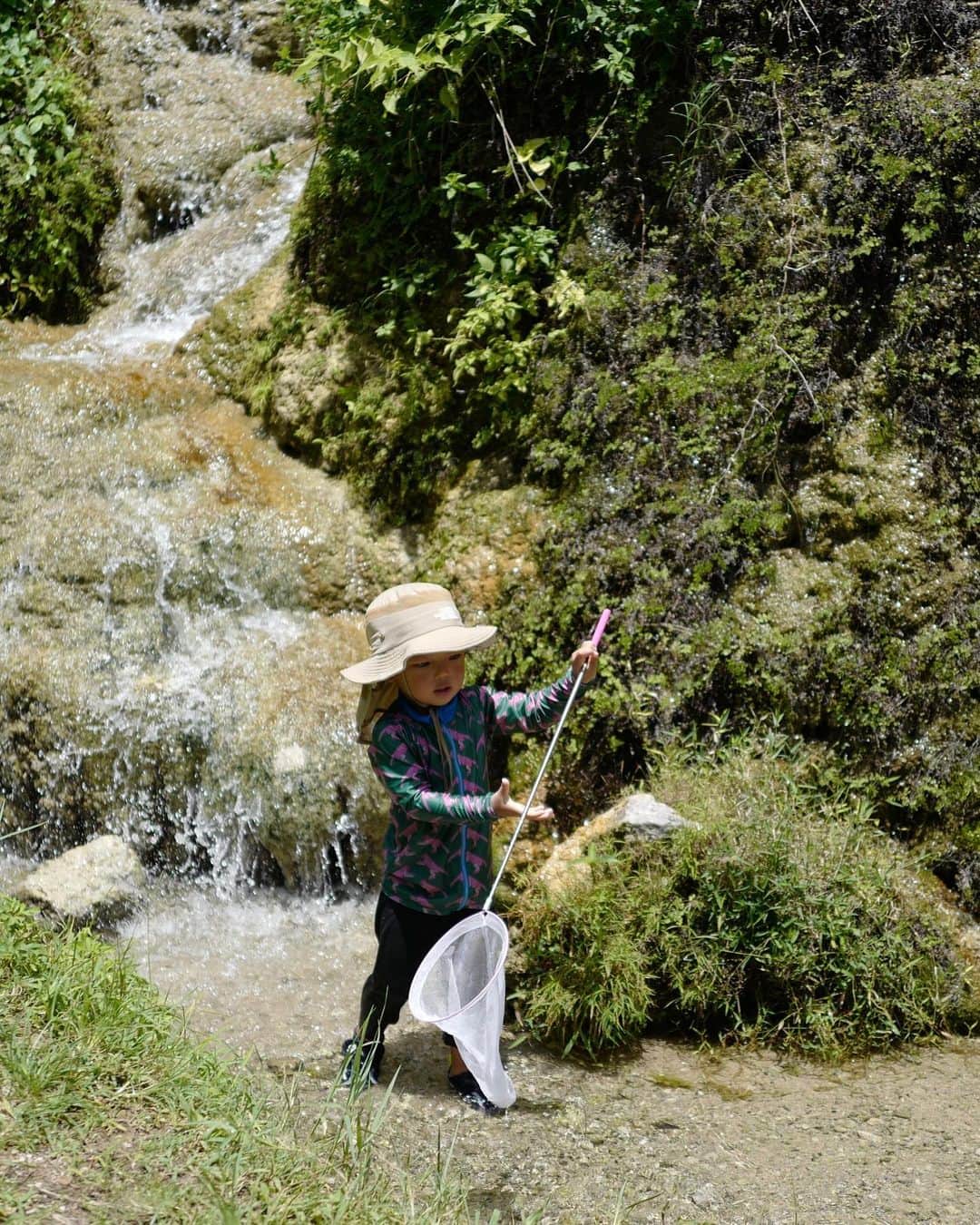 武智志穂さんのインスタグラム写真 - (武智志穂Instagram)「我が家からほど近い場所にある #垣花樋川 。 #武智志穂のおきなわのすすめ やストーリーズでも度々ご紹介していますが、ここはわたしのお気に入りのパワースポット。  深い緑に囲まれた林の中腹から、「全国名水百選」の最初の31選に選ばれた程の名水が溢れ出ている美しい水場です。 眼科には青い海も広がっていて最高のロケーション✨まさにオアシス！ …なんですが、夏は地元の子ども達の水遊び場になります☺️ （素敵な風習ですよね。）  今日は我が家も朝から遊びに行ってきました。  暑い日でもひんやり冷たい湧水が気持ち良いし、アメンボ、めだか、おたまじゃくし、とんぼ、アゲハ蝶…なんて豊かな自然の宝庫👏🏼 家の近くにこんなにも素敵な学びの場があるなんて、贅沢やなぁ〜  そして、今日もしっかりと着ていた力作のラッシュガード。 わたしが着用しているハーフジップタイプは、在庫がいよいよラスト3点となりました。 今期再入荷の予定はございませんので、お悩みの方はどうぞお早めにお買い求めくださいませ🫶🏼 これさえあれば、太陽の下でも楽しく快適に過ごせますよ〜😚 （いつも映えないガチの紫外線対策コーデでごめんなさい←）」7月22日 23時59分 - shiho_takechi