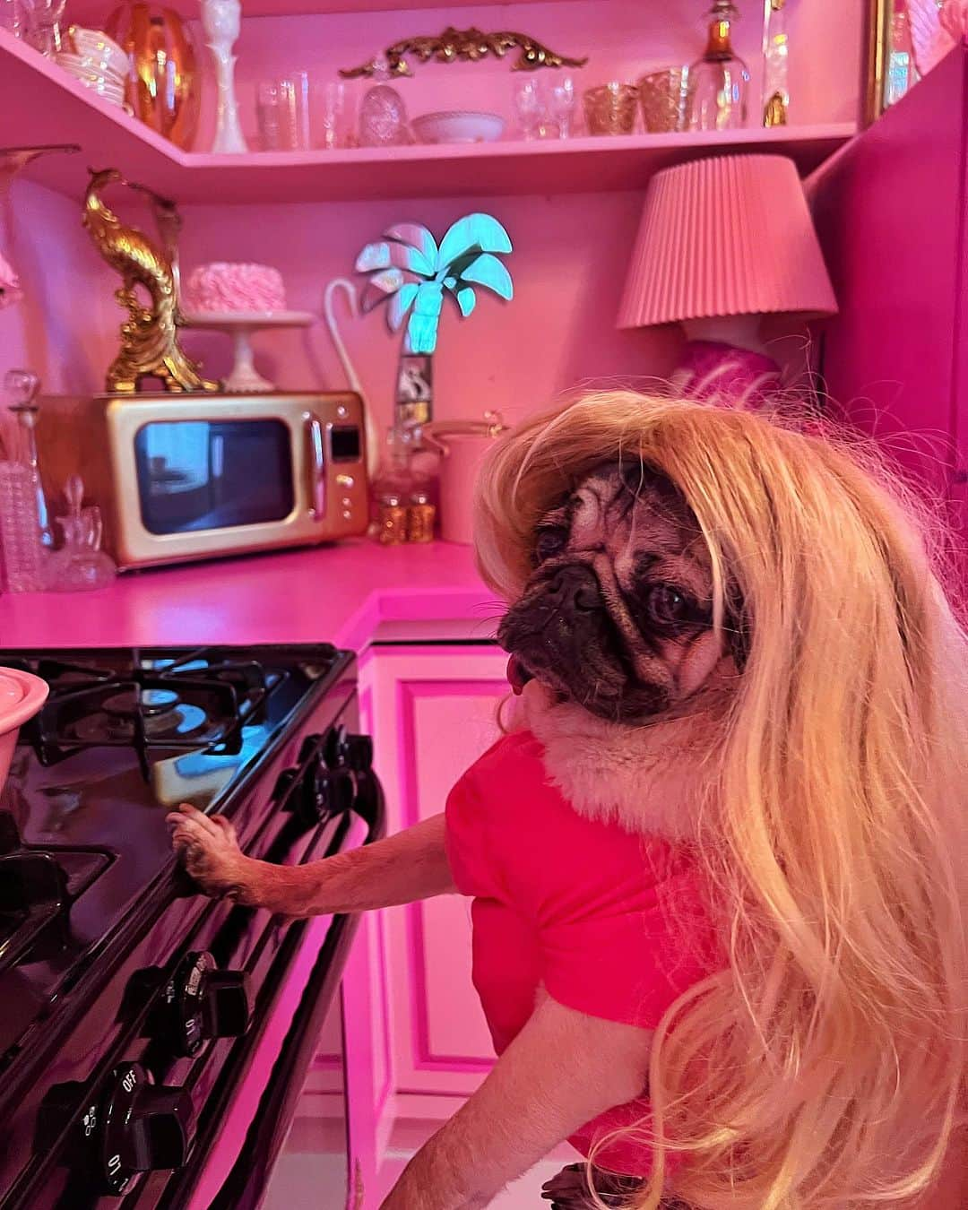 itsdougthepugさんのインスタグラム写真 - (itsdougthepugInstagram)「“I’m a Puggie girl, in a Puggie world!” -Doug  Tag someone who has made pink their entire personality recently 💗🎀🌸」7月23日 0時34分 - itsdougthepug