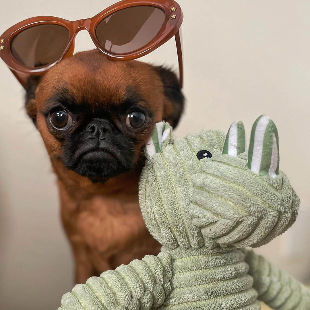 freepeopleのインスタグラム：「@grizzythegriff wearing this season's hottest accessory. Link in bio.   #whenyouwearFP」