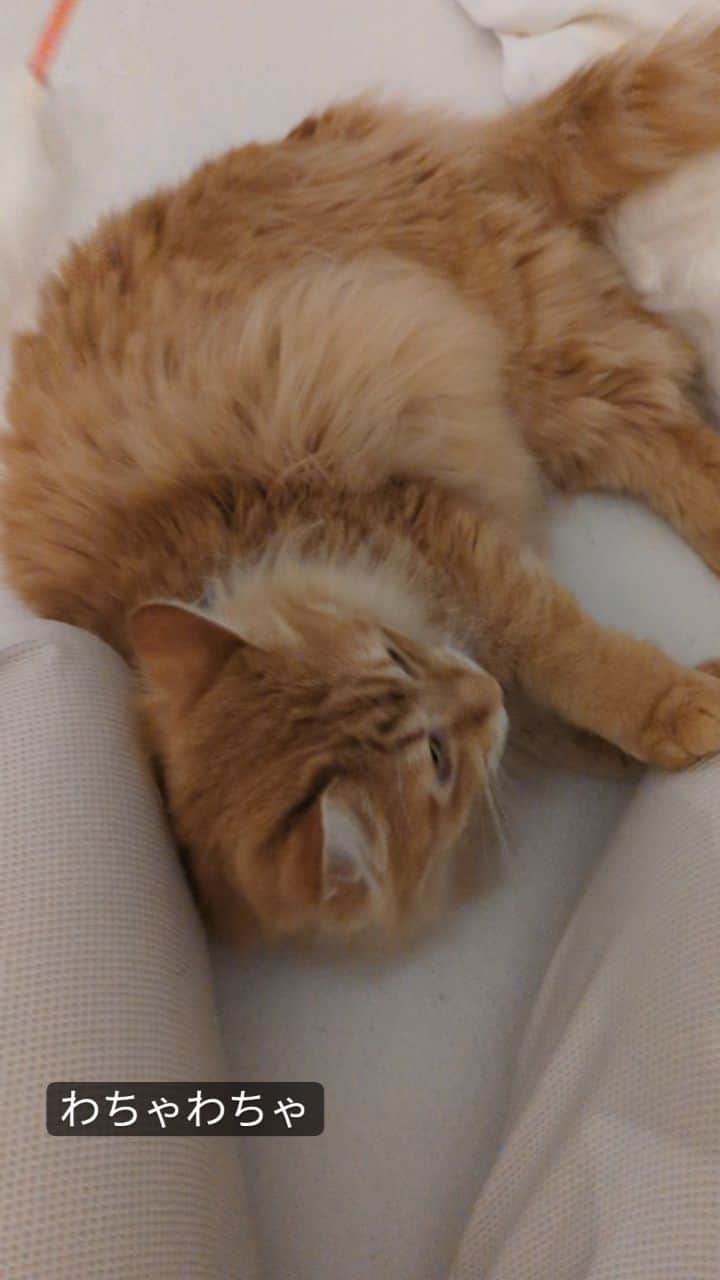 岡田屋鉄蔵のインスタグラム