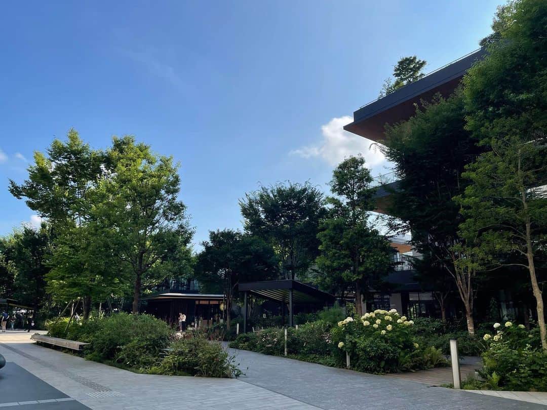 Hikari Noguchi 野口 光さんのインスタグラム写真 - (Hikari Noguchi 野口 光Instagram)「朝、窓からは昭和記念公園の緑が見えてとても気持ちよく目覚めました。都内ですが緑豊かで落ち着くホテル。都心のホテルとは違った良さ☺︎ #ソラノホテル #soranohotel」7月23日 8時45分 - hikari_noguchi