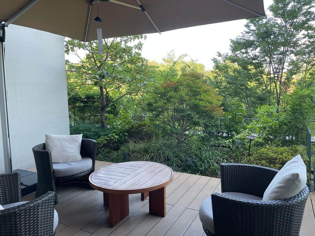 Hikari Noguchi 野口 光のインスタグラム：「朝、窓からは昭和記念公園の緑が見えてとても気持ちよく目覚めました。都内ですが緑豊かで落ち着くホテル。都心のホテルとは違った良さ☺︎ #ソラノホテル #soranohotel」