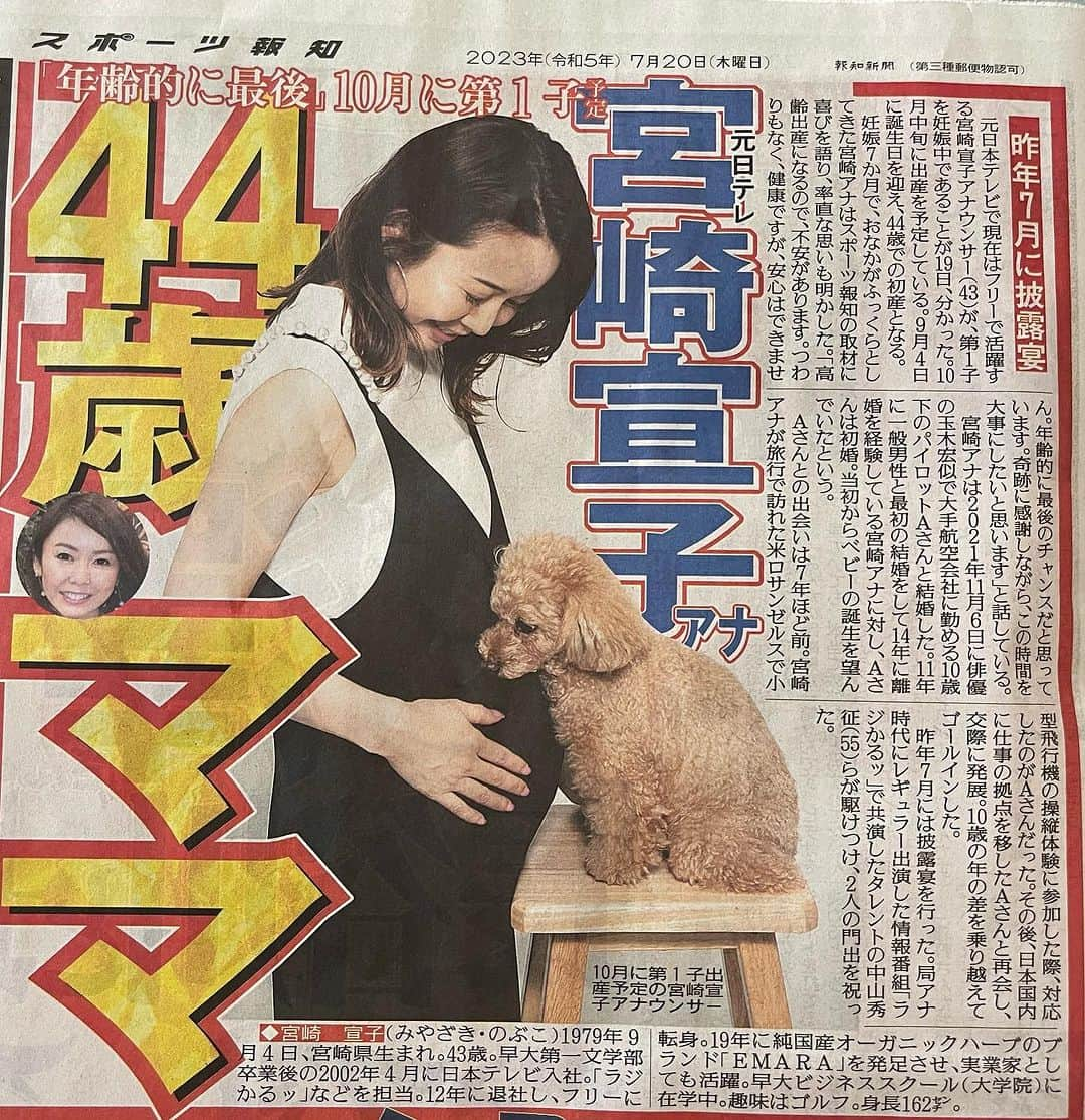 宮崎宣子のインスタグラム：「報知新聞さん、ありがとうございます。 夫が記念にと、見つけては購入してきてくれました。  また、たくさんのメッセージをありがとうございました。  全員にはお返事できておりませんが、 メッセージは必ず読ませていただきます。  そして、できる限りお返事させて頂けたらと思います。  こんなにたくさんの方々が不妊治療をしていることを知り、皆さんの経験をコメント頂き励みになりました。  私の周りの友人で40代で妊娠の方がほとんどいなかったのと、  大学院ではビジネスに対しての勉学にやる気に溢れている学生の集まりなので、なかなか言えず…  ひとまず、 大学院の春学期、夏クォーターの授業が終わりホッとしております。  まだレポートや、卒論指導はあるものの、 早稲田に通わなくていいのでかなり楽です。  7ヶ月で9キロも太ってしまい、 長時間の椅子に座っての授業が 13時から22時までの日は特に辛かったですね。  残りの3ヶ月、 どう過ごしていくのか、 何をしておくべきなのか、 今考えているところです。  妊娠中の皆さま、今年暑いので、 ただでさえ体温が高くなっているので、 お互いに気をつけましょうね。  本当に皆さんの声を聞けて不安が和らぎ、 元気になりました！  ありがとうございます🙏  それにしても、最近朝起きると足が攣りそうになります😂  #妊婦7ヶ月 #43歳妊娠  #44歳出産  #大学院生 #報知新聞  #皆様に感謝」